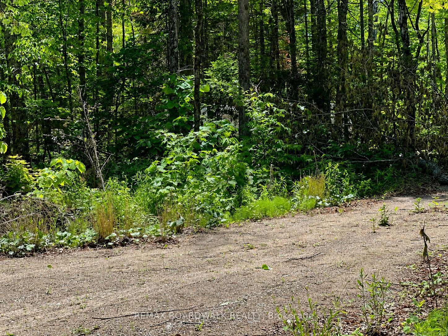 0 Buckshot Lake Road, Addington Highlands, ON K0H 1K0 photo 3