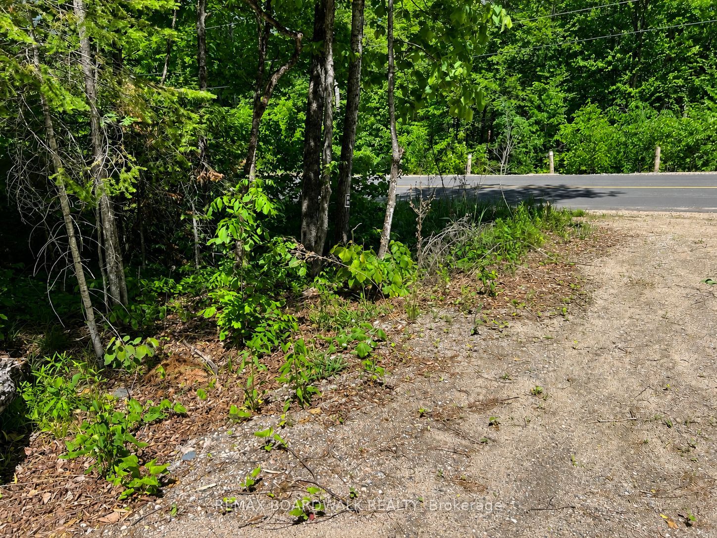 0 Buckshot Lake Road, Addington Highlands, ON K0H 1K0 photo 4