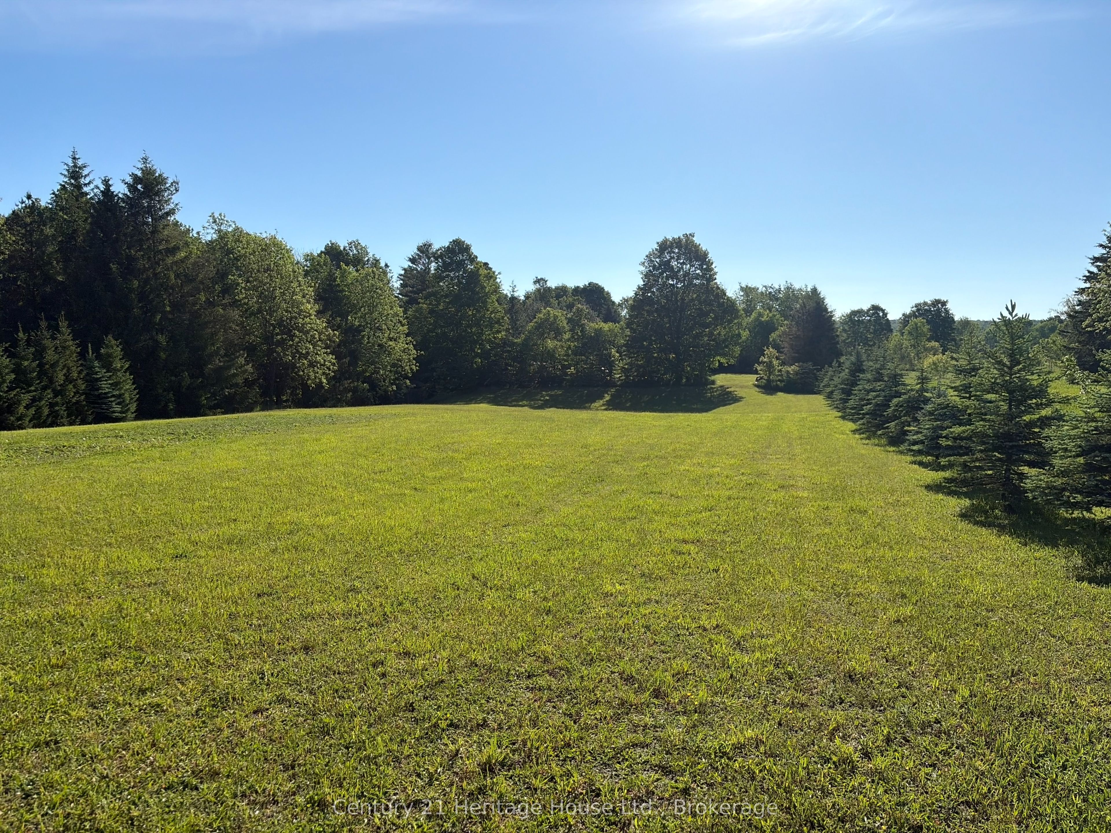395551 2 Concession, Chatsworth, ON N0H 2V0 photo 5