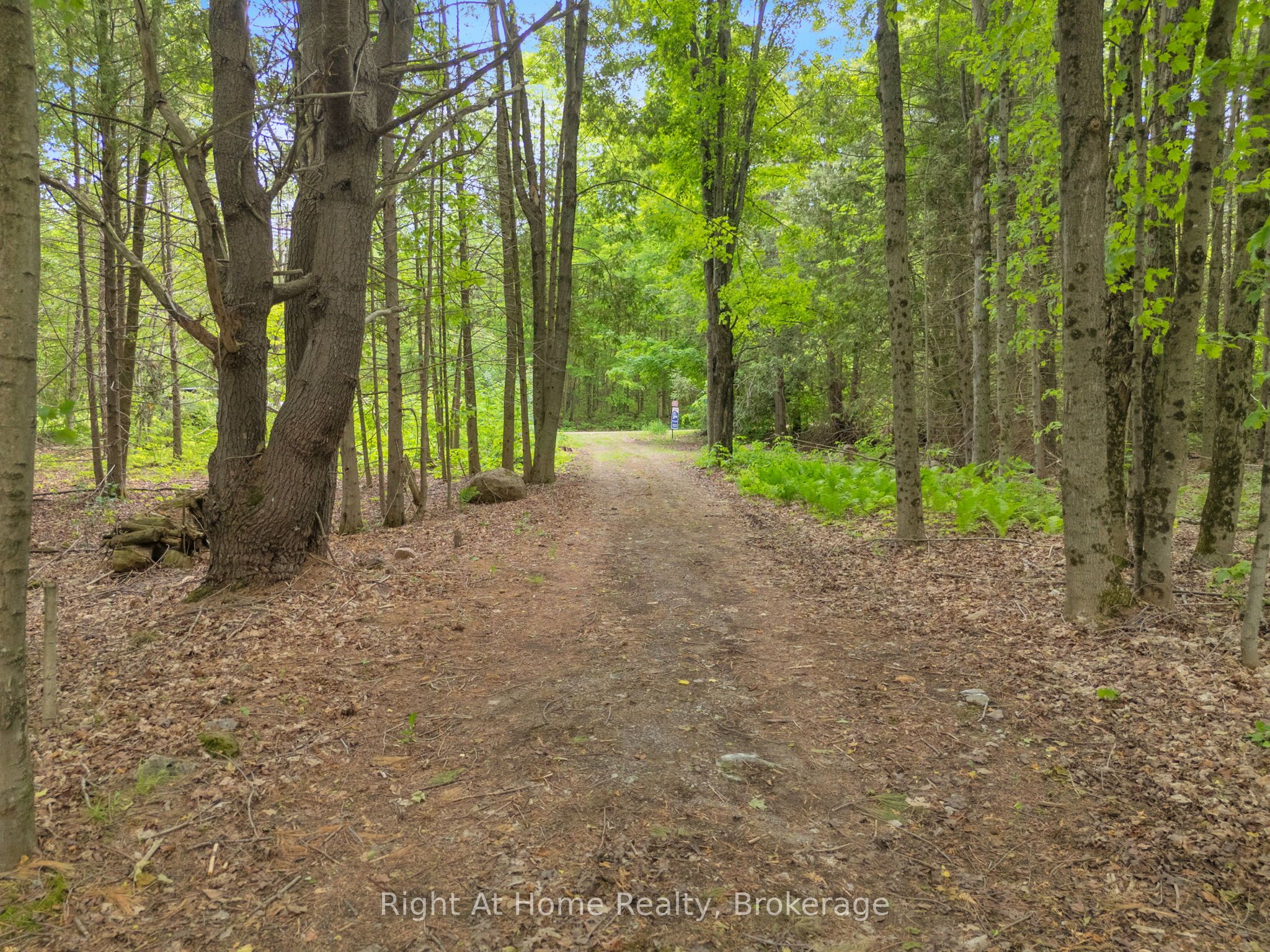 74 Talbot Road, Kawartha Lakes, ON K0M 1K0 photo 2