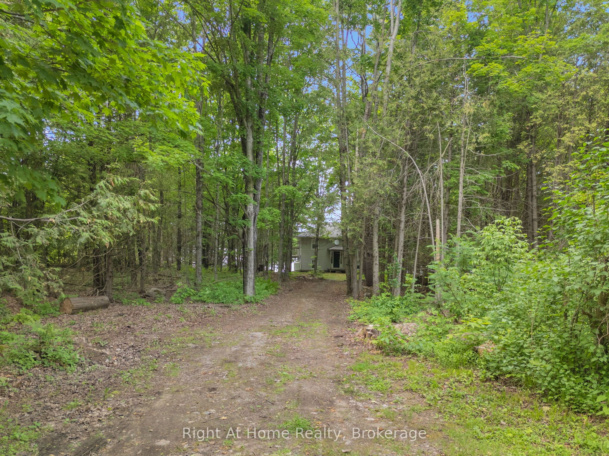 74 Talbot Road, Kawartha Lakes, ON K0M 1K0 photo 3