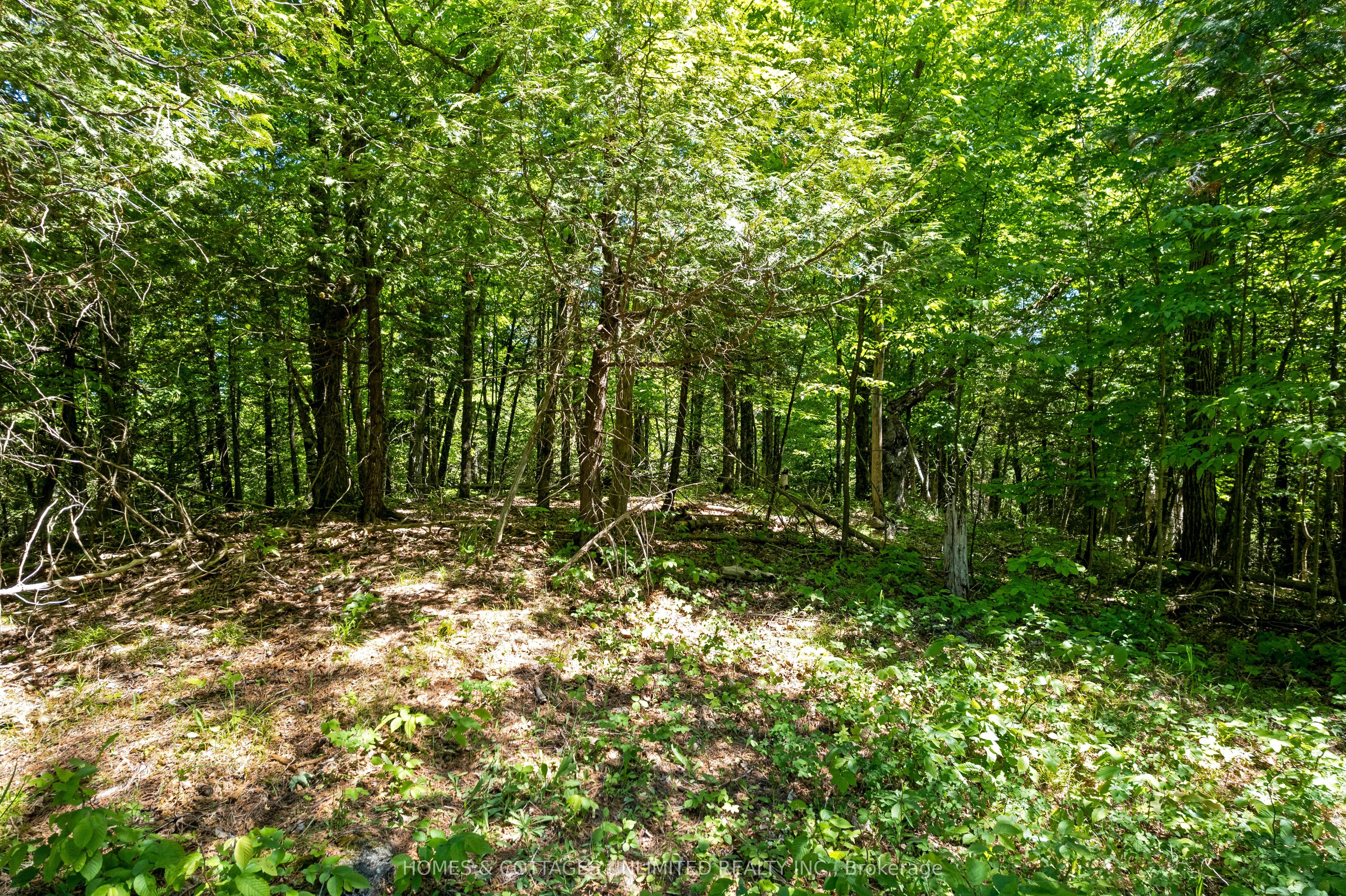 0 McDonald's Corners Road, Lanark Highlands, ON K0G 1K0 photo 3