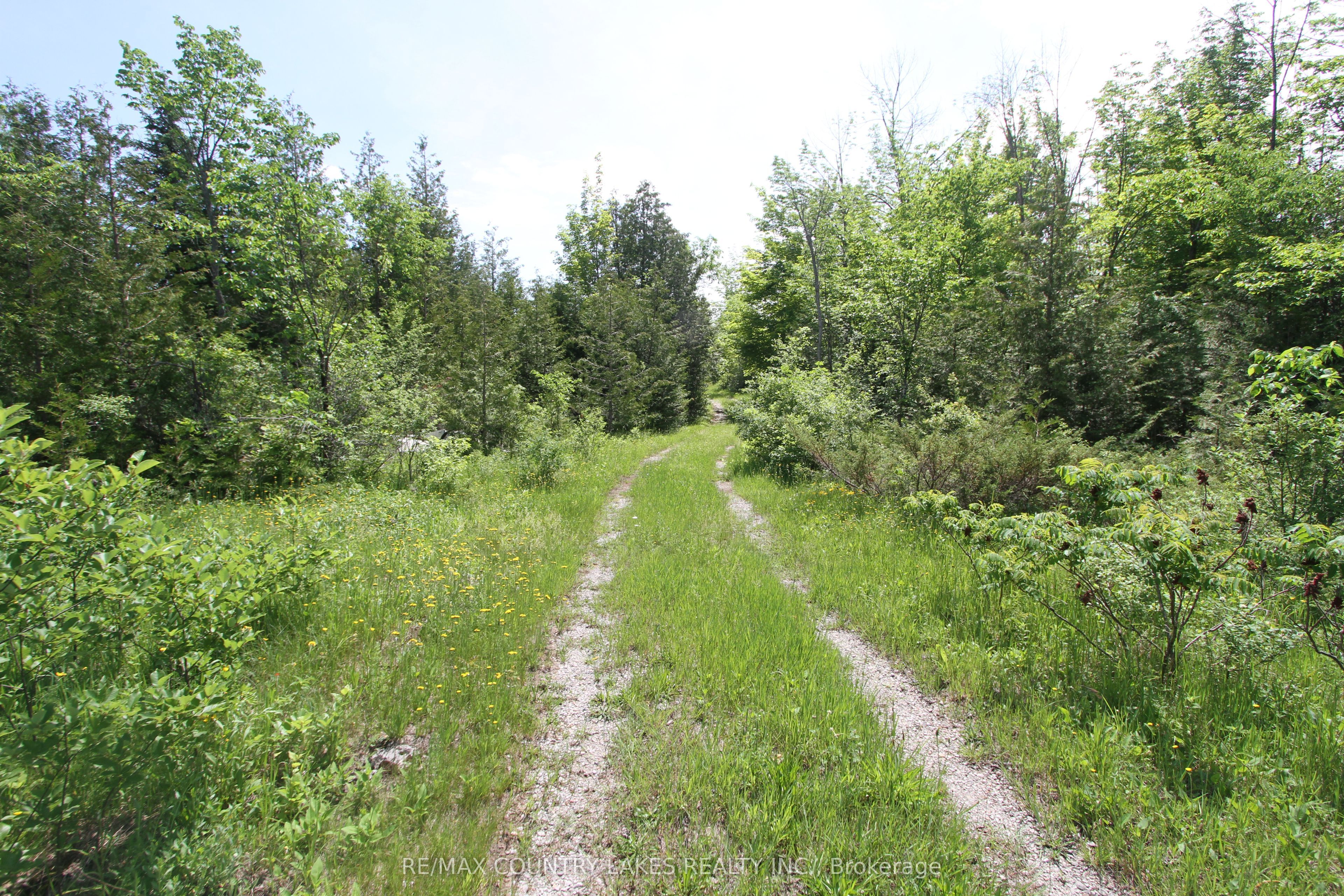 Lt27 Ramblewood Trail, Kawartha Lakes, ON K0M 2B0 photo 3