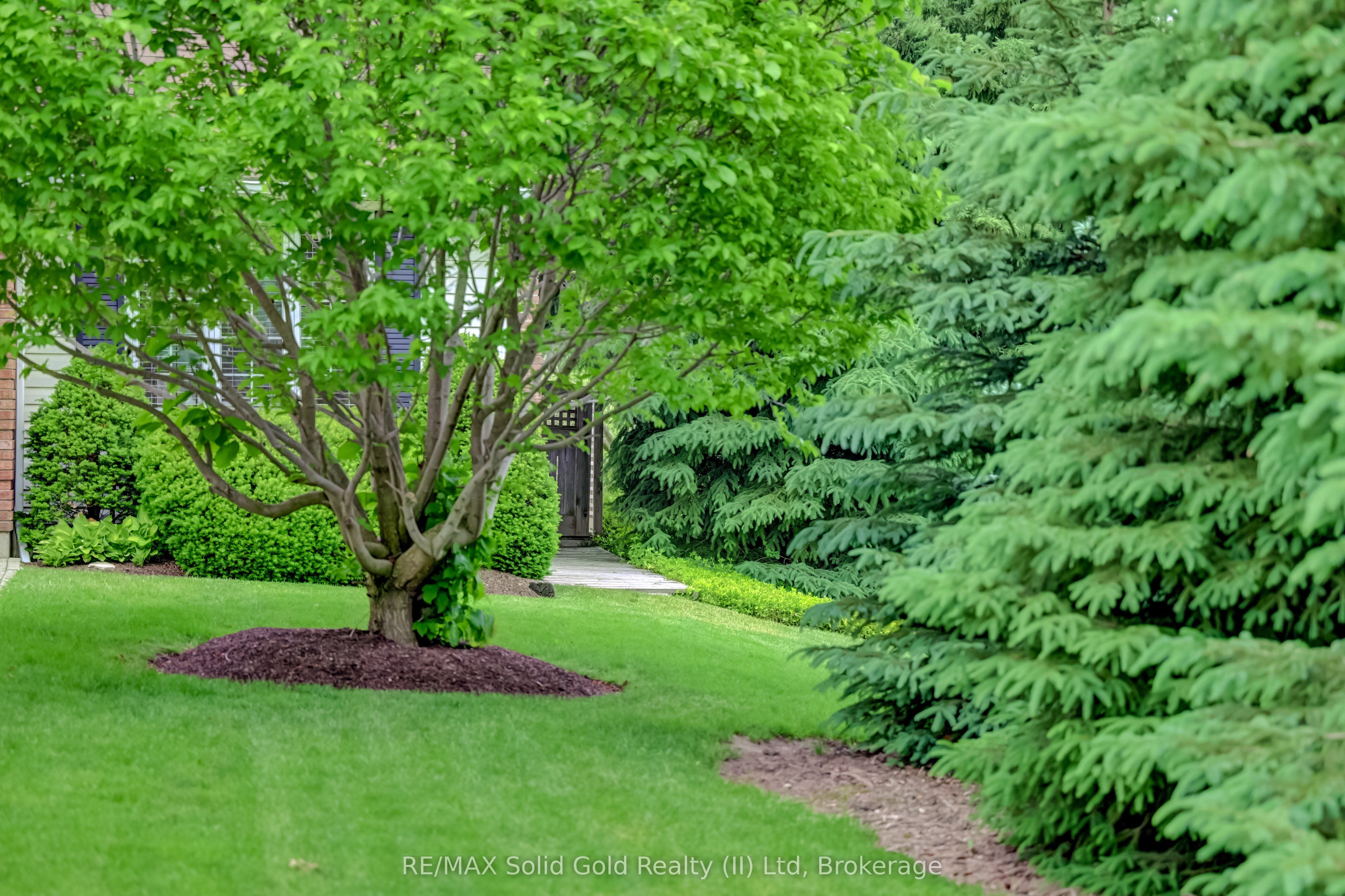 11 Lorraine Drive, Wellesley, ON N0B 2A0 photo 4
