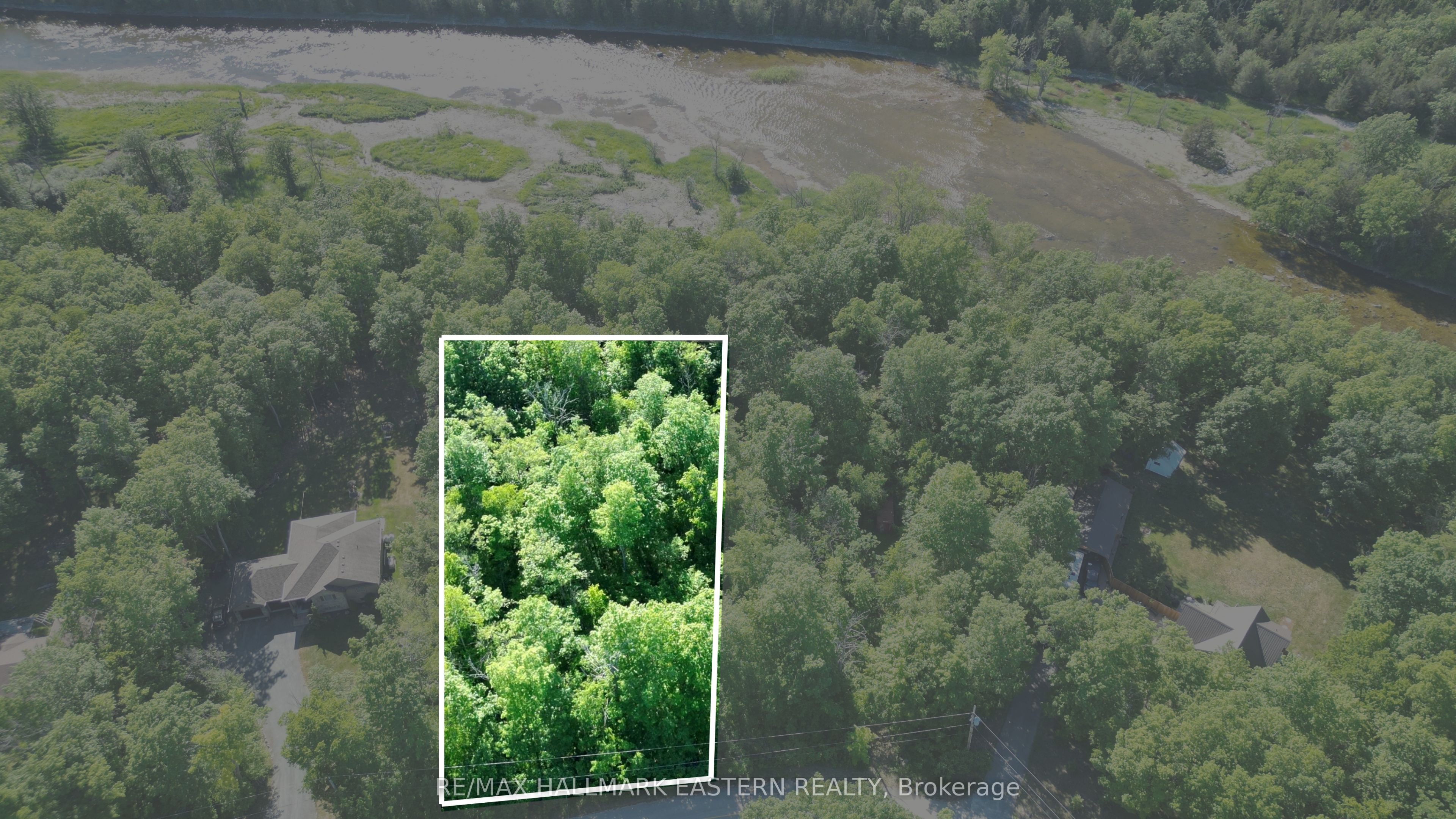 20 Riverside Drive, Trent Hills, ON K0L 1L0 photo 2