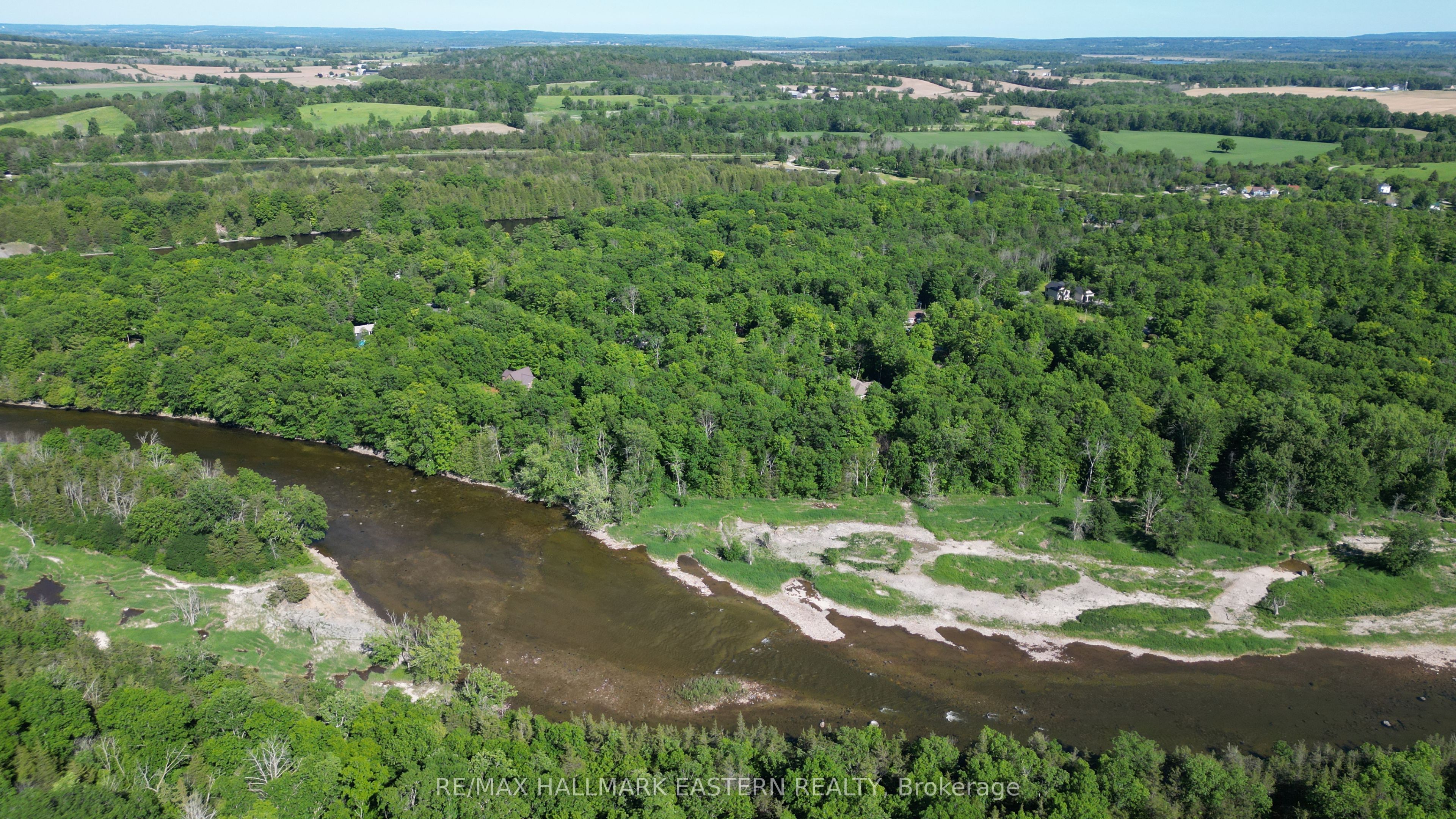 21 Riverside Drive, Trent Hills, ON K0L 1L0 photo 3