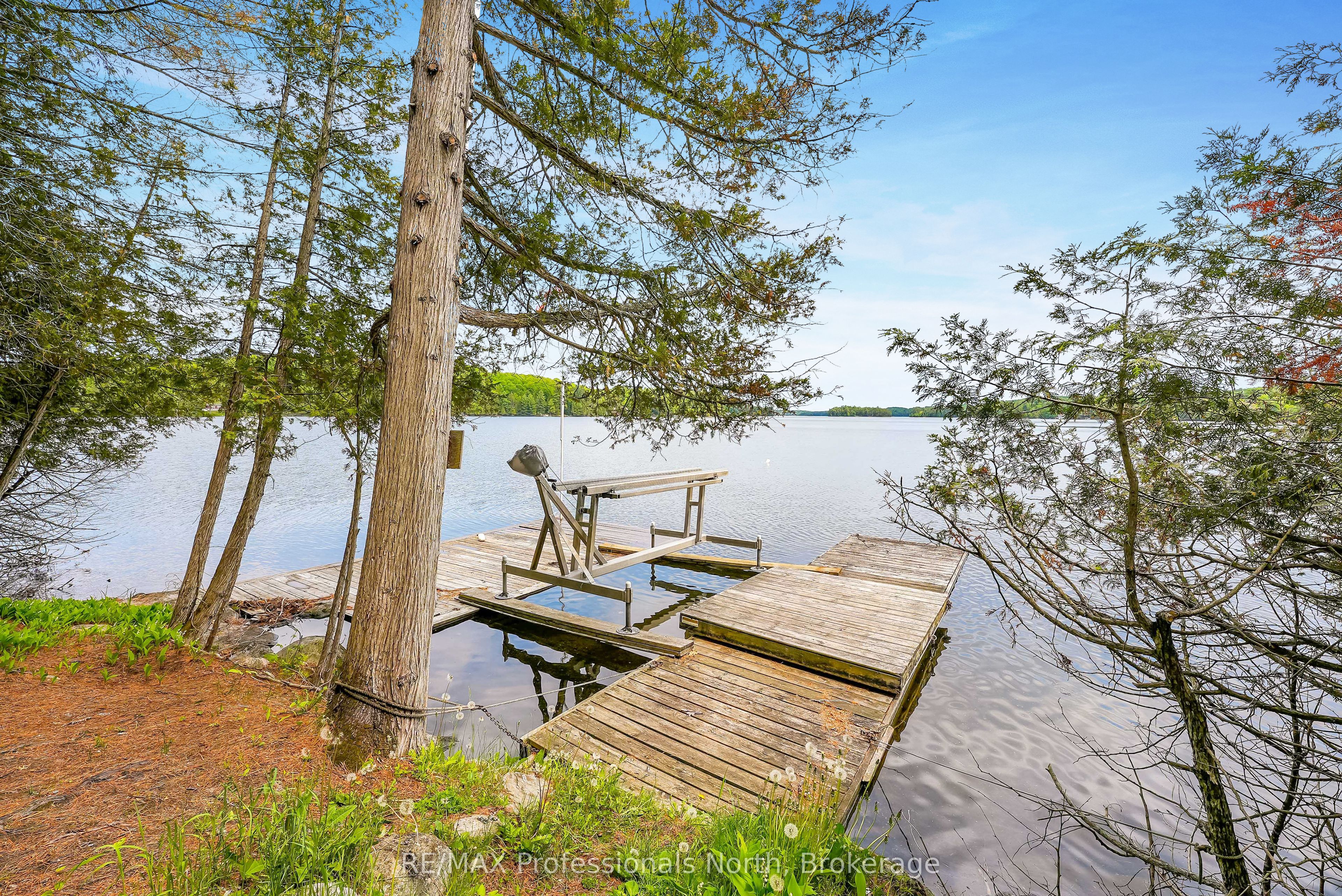 1214 Kashagawigamog Lake Road, Minden Hills, ON K0M 2K0 photo 5