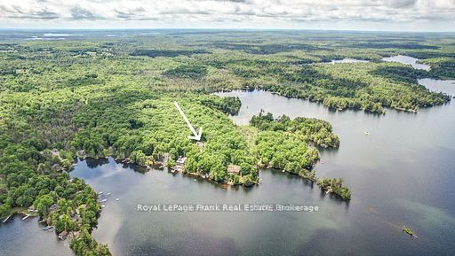 50 Fire Route 41 N/A, North Kawartha, ON K0L 2H0 photo 2