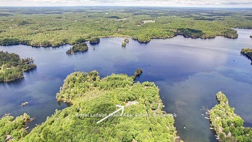 50 Fire Route 41 N/A, North Kawartha, ON K0L 2H0 photo 3