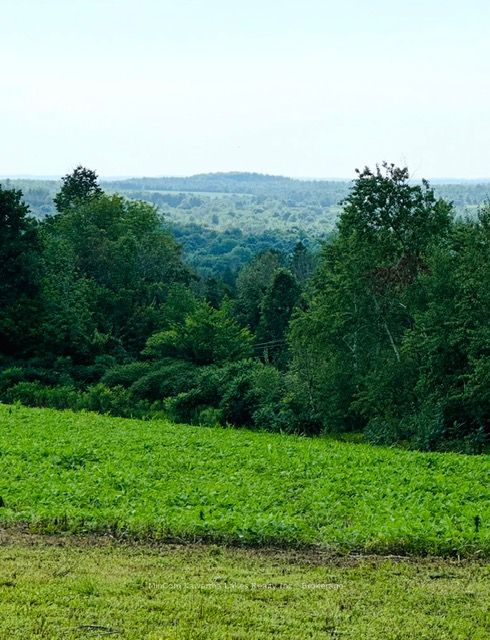 PL 15 Base Line, Otonabee-South Monaghan, ON K0L 2G0 photo 2
