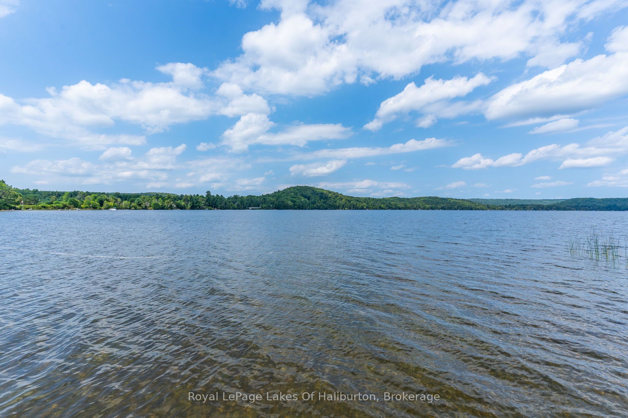 1049 Ninatigo Lane, Algonquin Highlands, ON K0M 1S0 photo 4