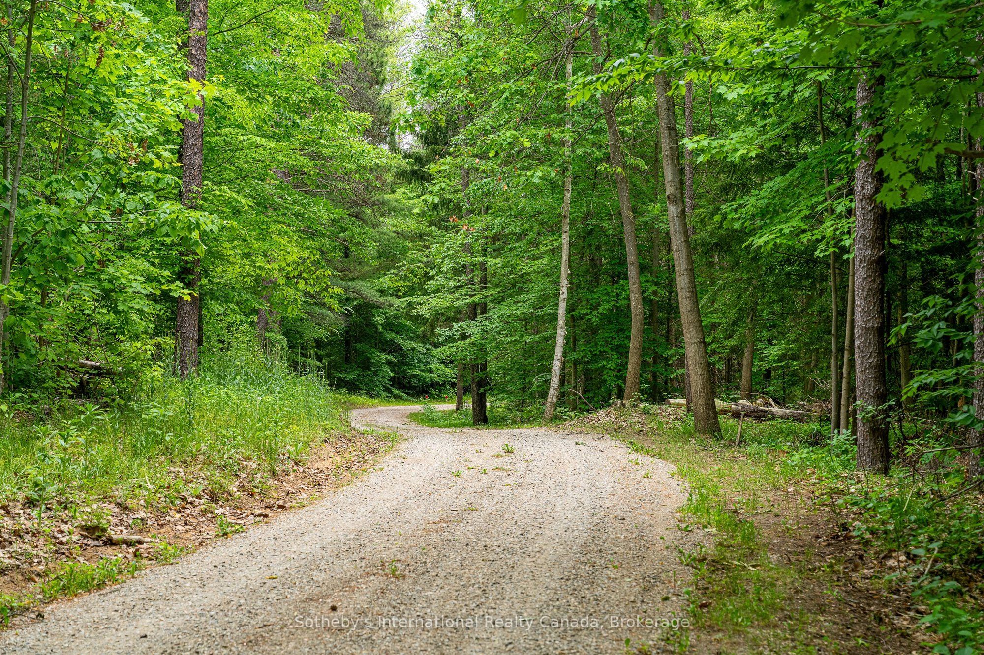 938501 Airport Road, Mulmur, ON L9V 0M1 photo 4
