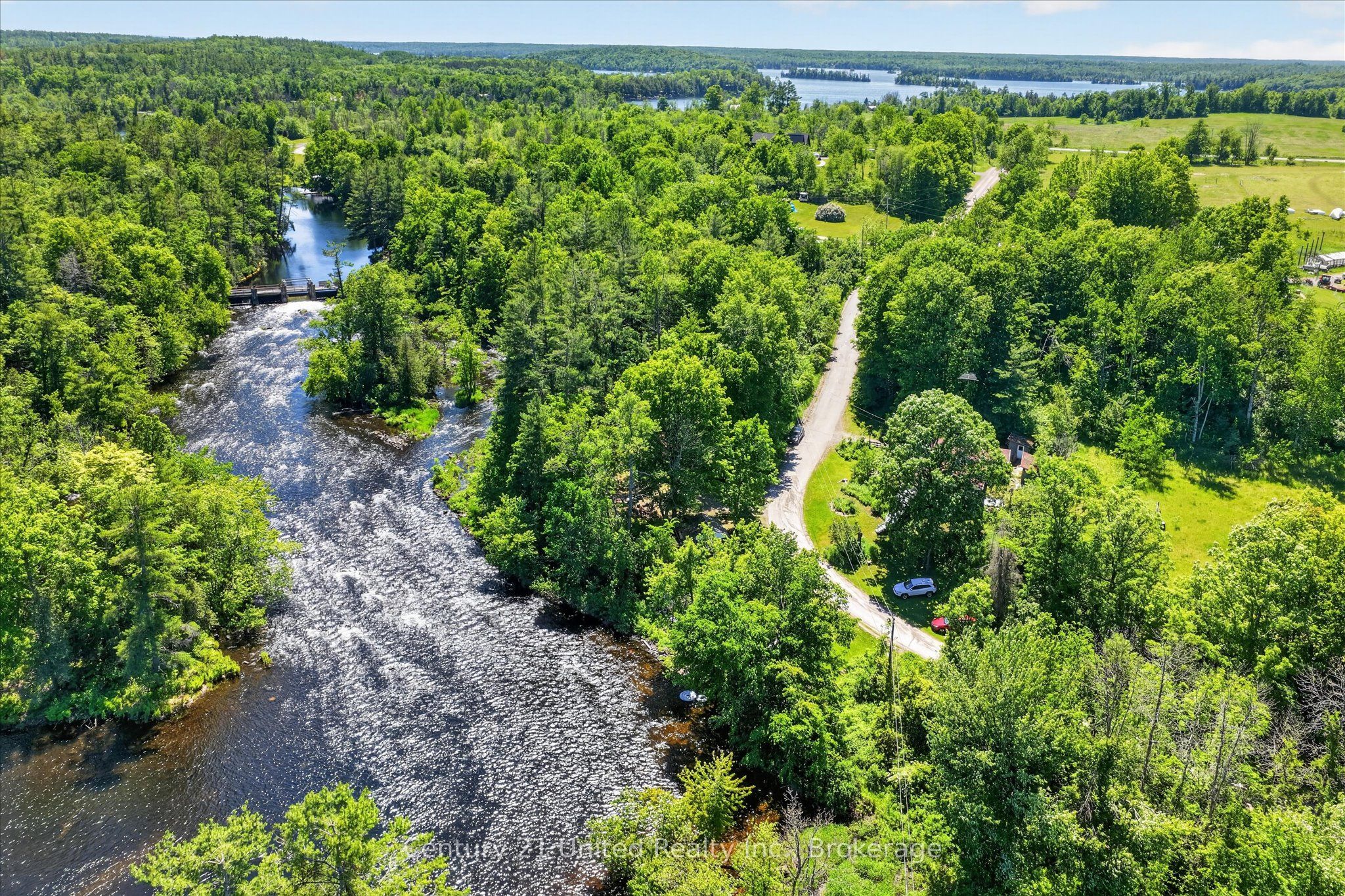 90 Bowen Road, Havelock-Belmont-Methuen, ON K0L 1Z0 photo 4