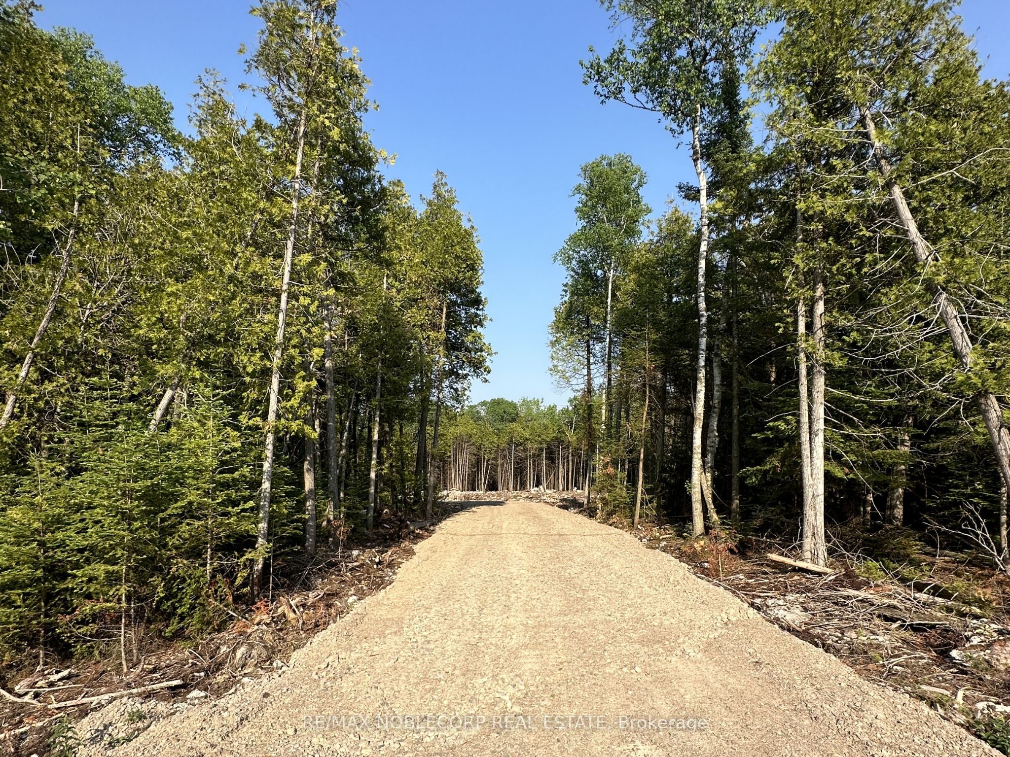 42 Trillium Crossing, Northern Bruce Peninsula, ON N0H 1W0 photo 4