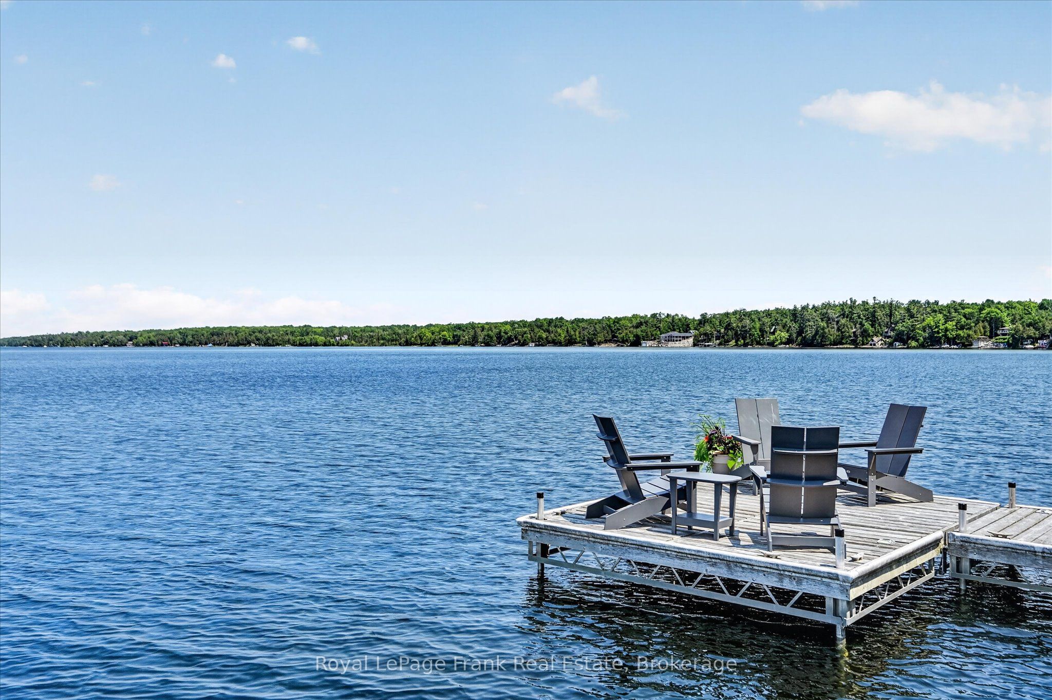 1973 Fiddlers Lane, Douro-Dummer, ON K0L 2H0 photo 5