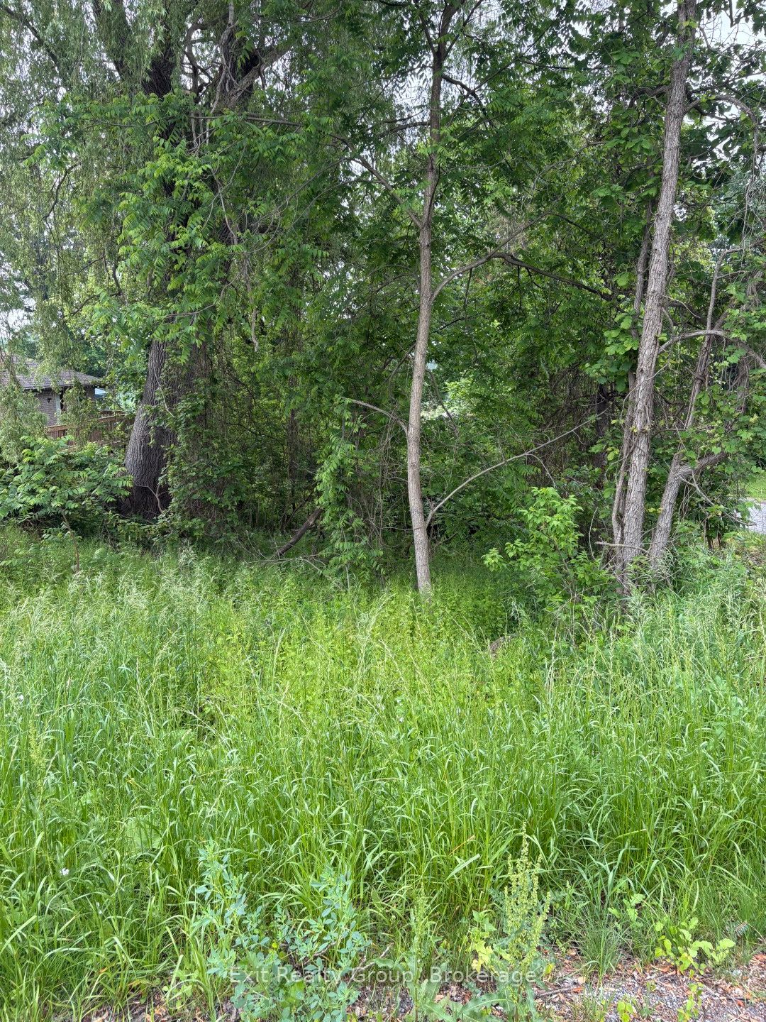 00 County Rd 5, Quinte West, ON K0K 3M0 photo 4
