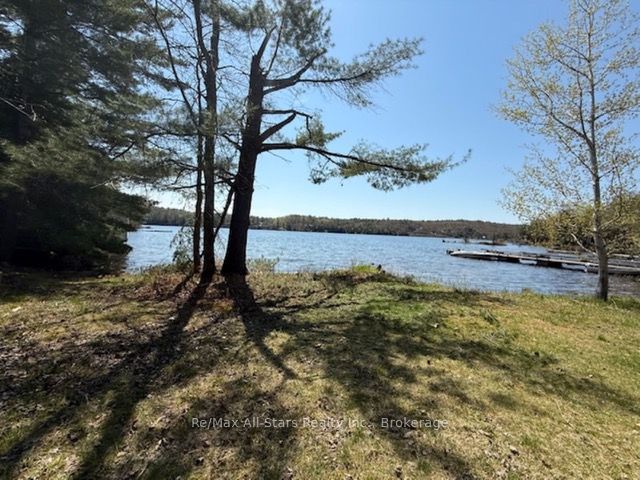 1019 Osler Lane, Minden Hills, ON K0M 2K0 photo 3