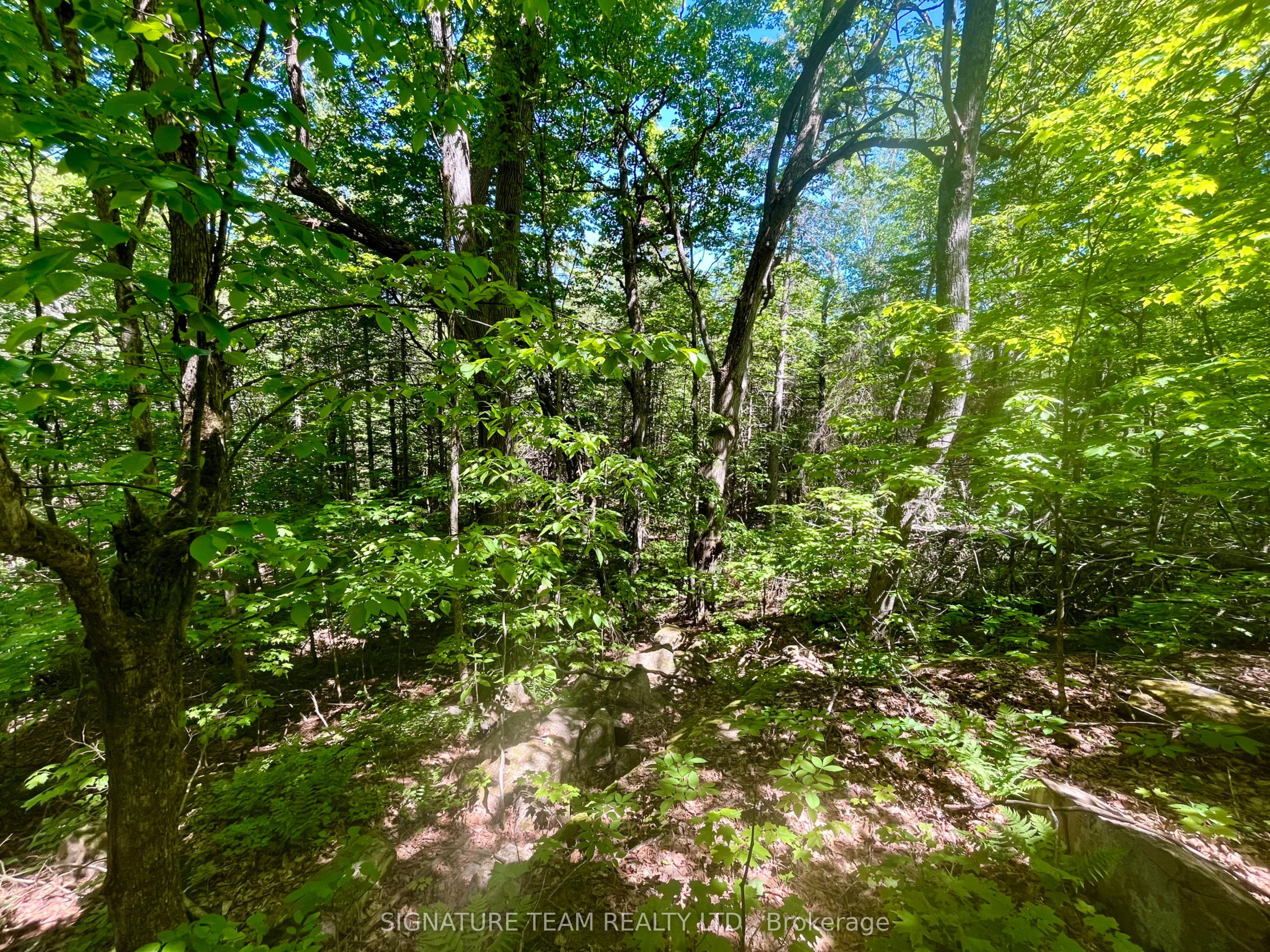 Pt Lt's 5 & 6 Foymount Road, Bonnechere Valley, ON K0J 1W0 photo 5
