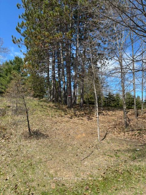 26686 Highway 62 S, Bancroft, ON K0L 1C0