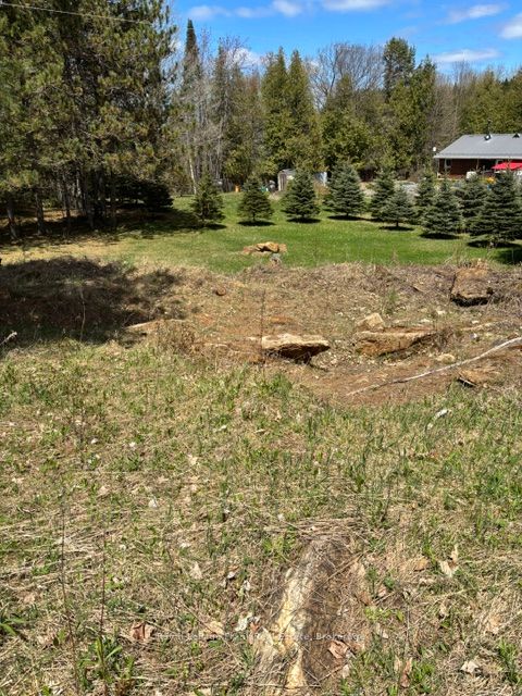 26686 Highway 62 S, Bancroft, ON K0L 1C0 photo 5