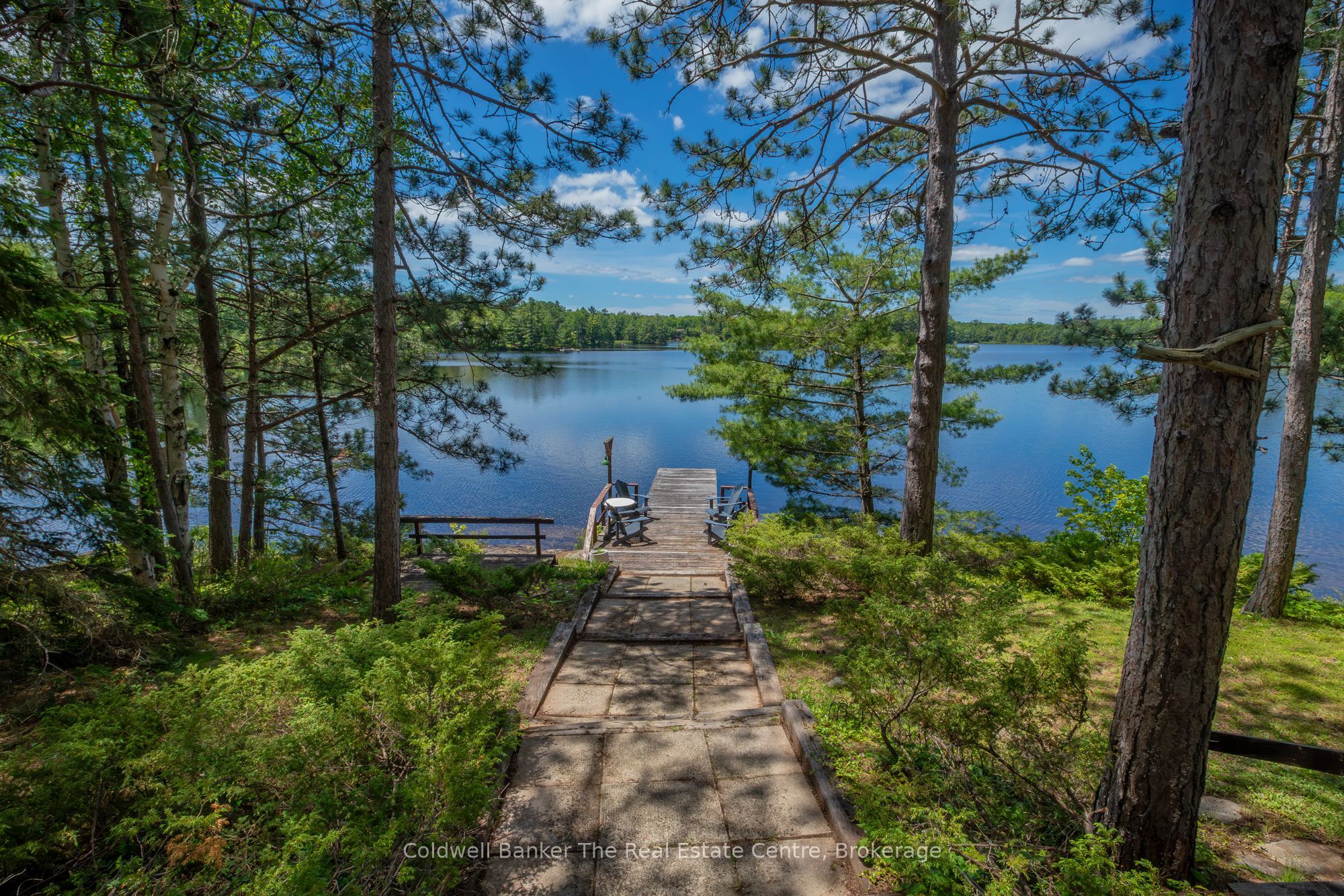1077 Misty Lane, Gravenhurst, ON P0E 1G0 photo 5