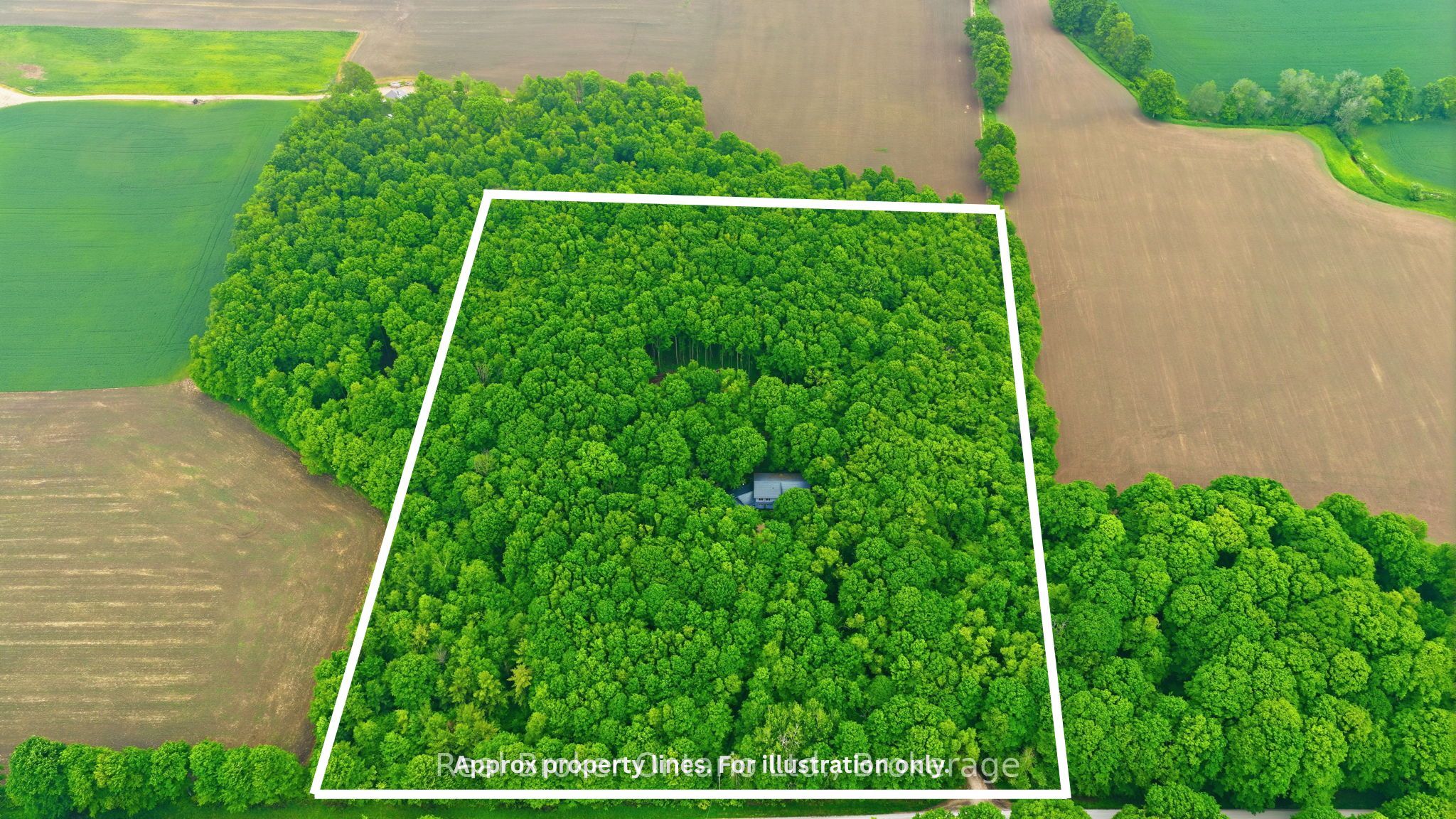 805500 25 Side Road, Grey Highlands, ON N4L 1W6 photo 2