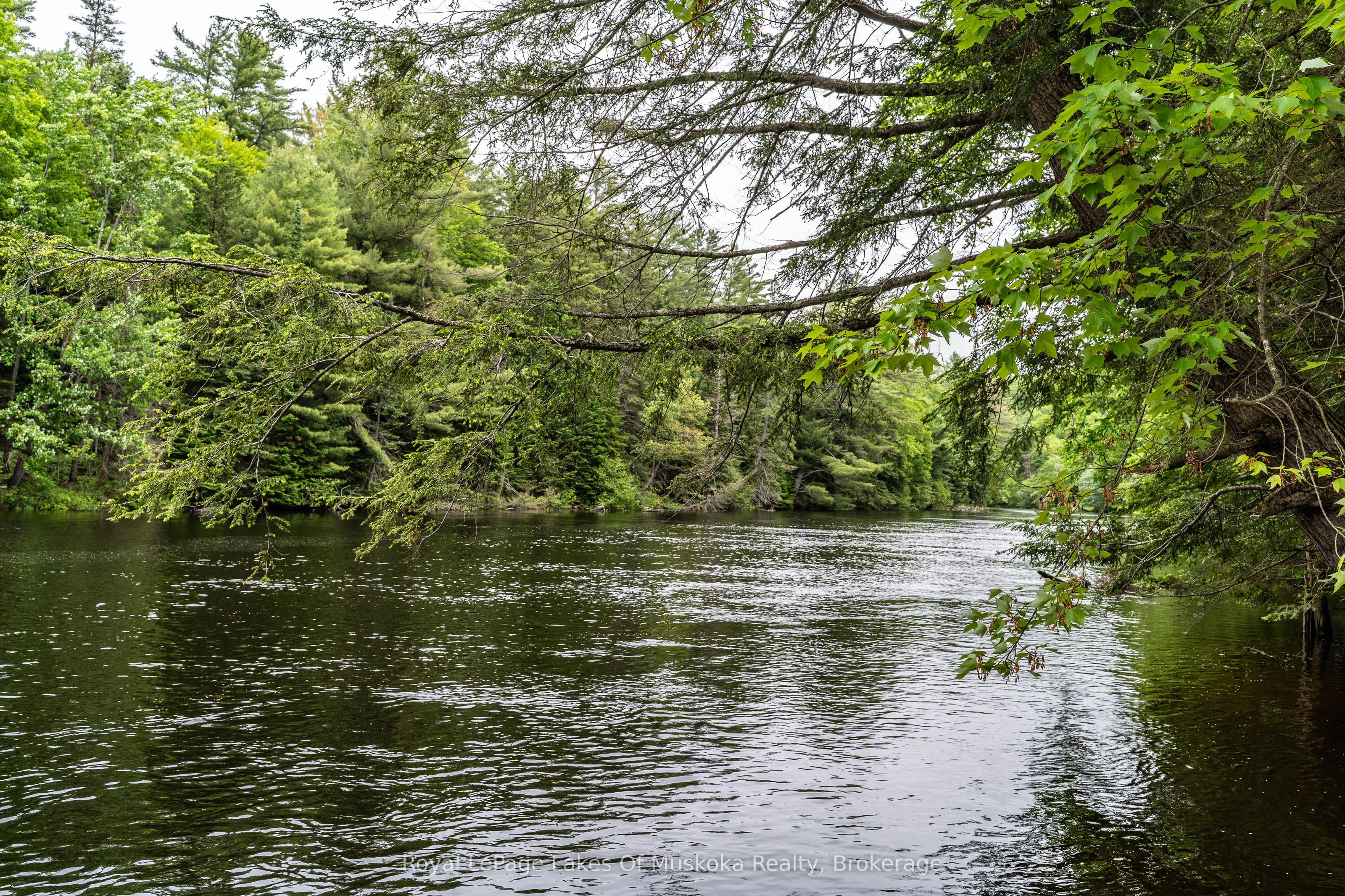 1136 Springdale Shores Private, Bracebridge, ON P1L 1W9 photo 4