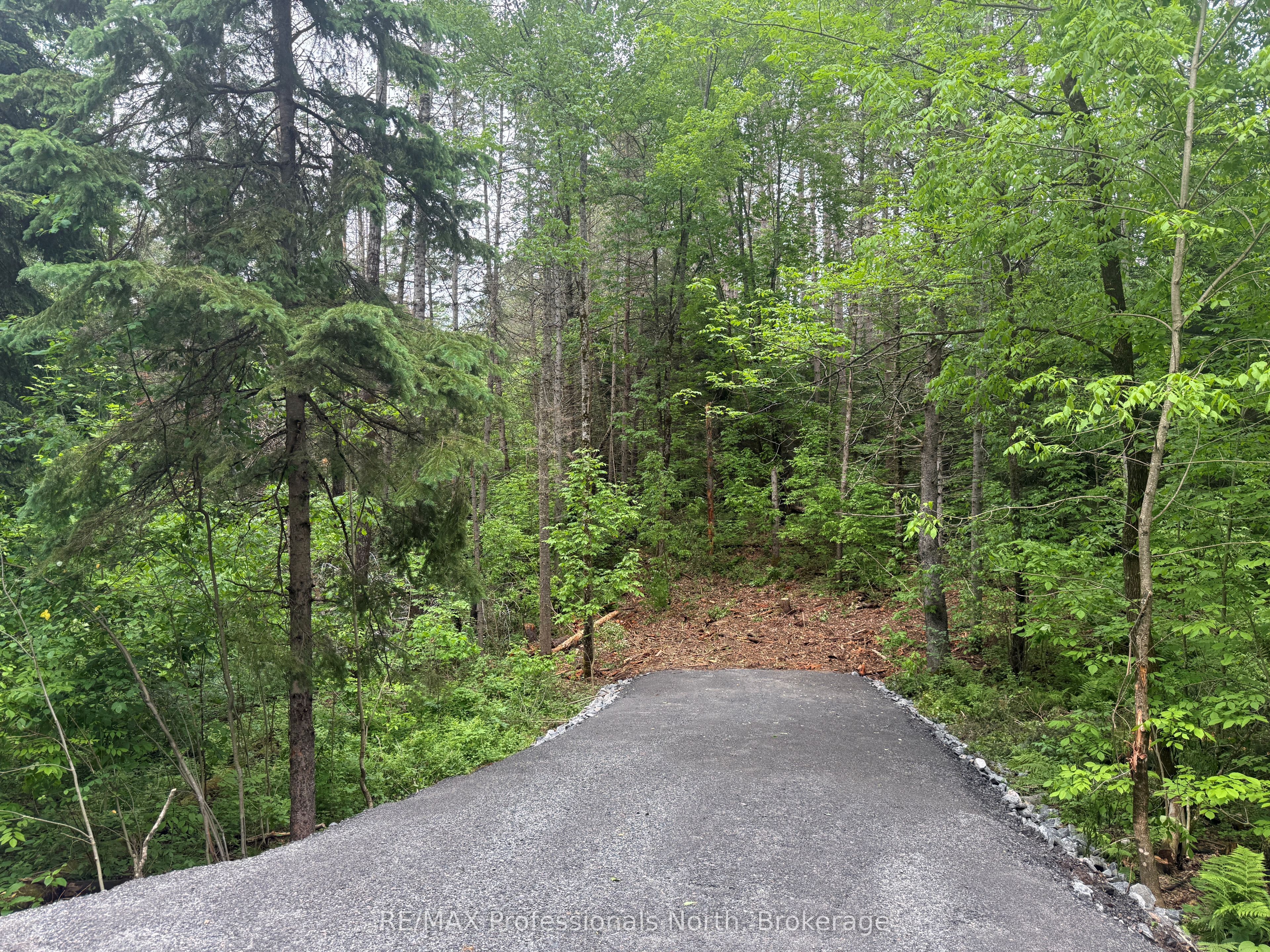 1313 Williamsport Road N, Huntsville, ON P1H 2J4 photo 4