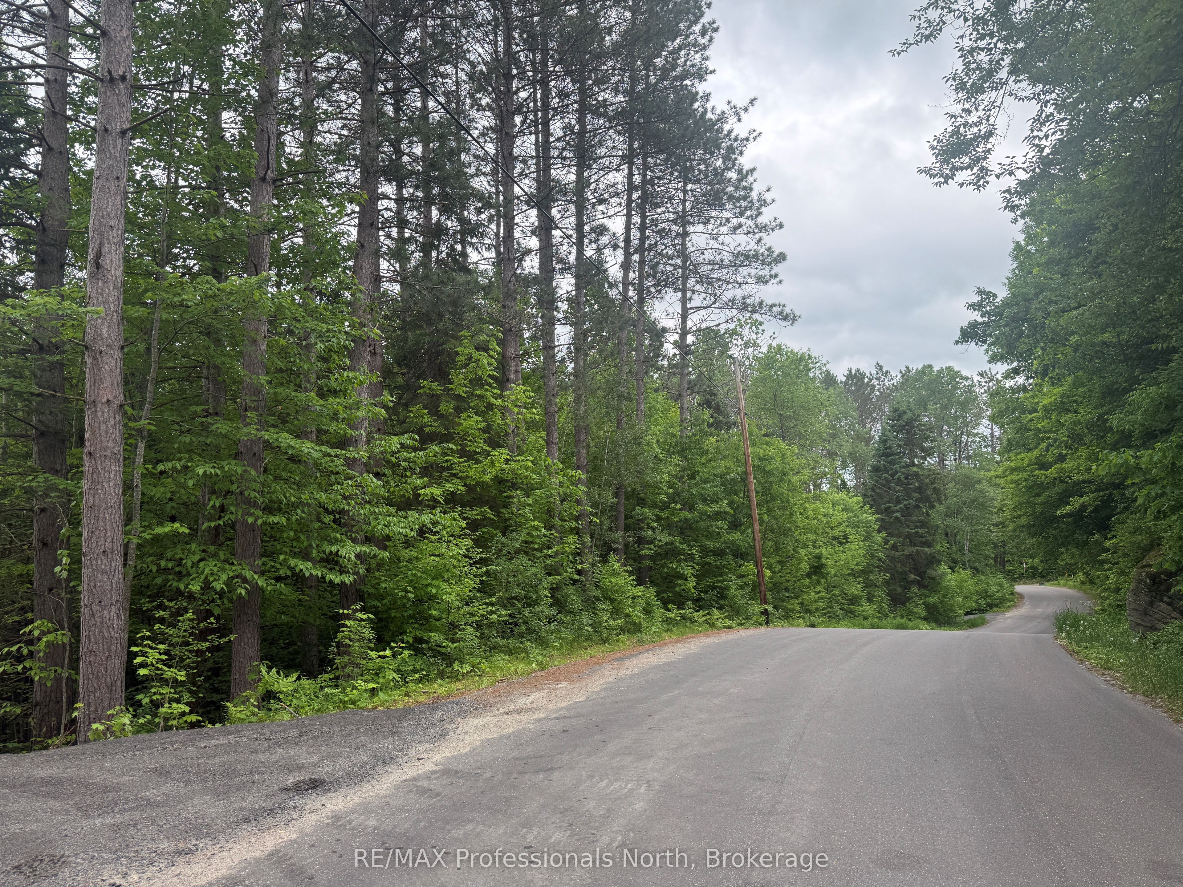 1313 Williamsport Road N, Huntsville, ON P1H 2J4 photo 5