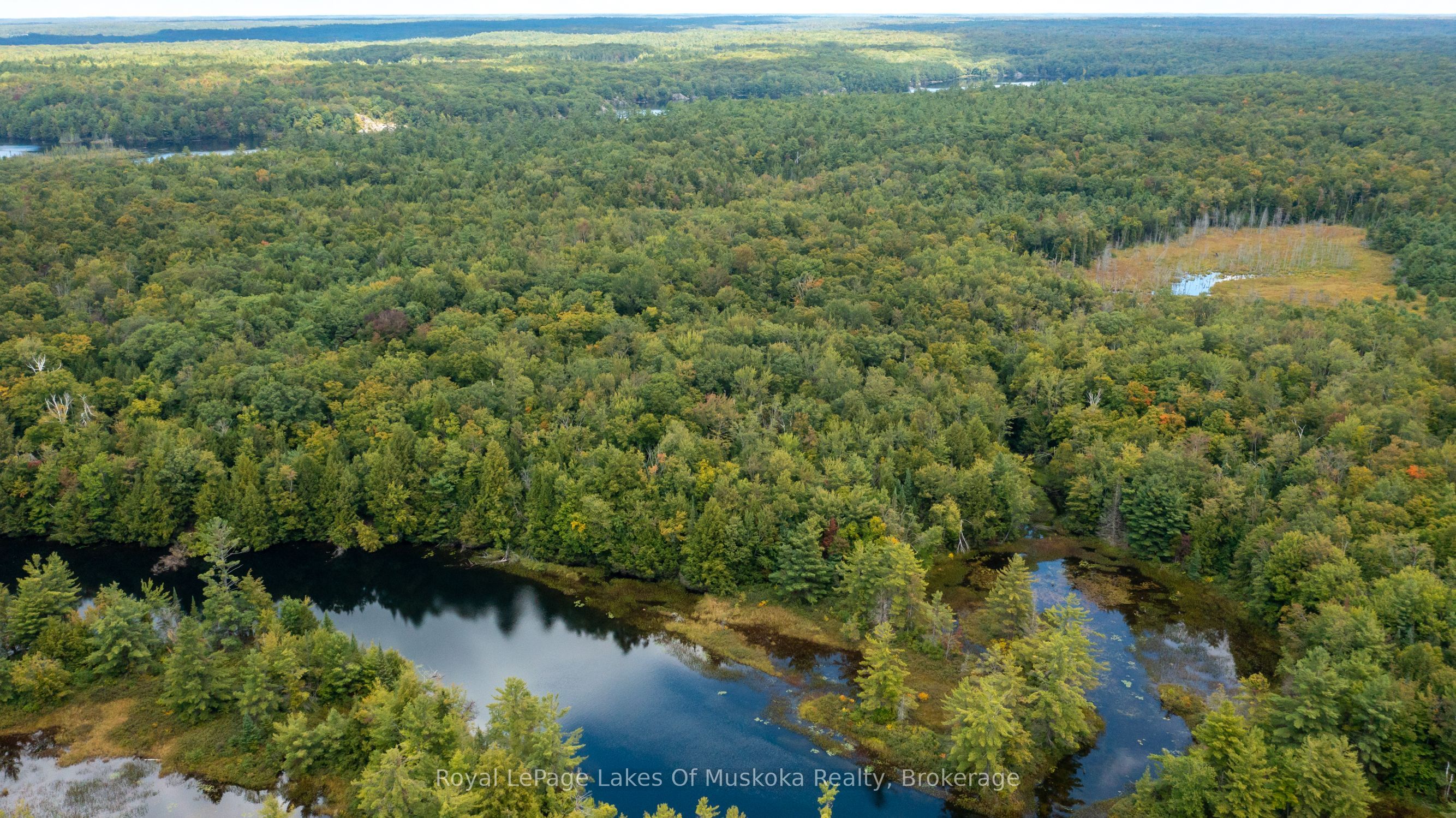 0 Muskoka River, Bracebridge, ON P1L 0K3 photo 3