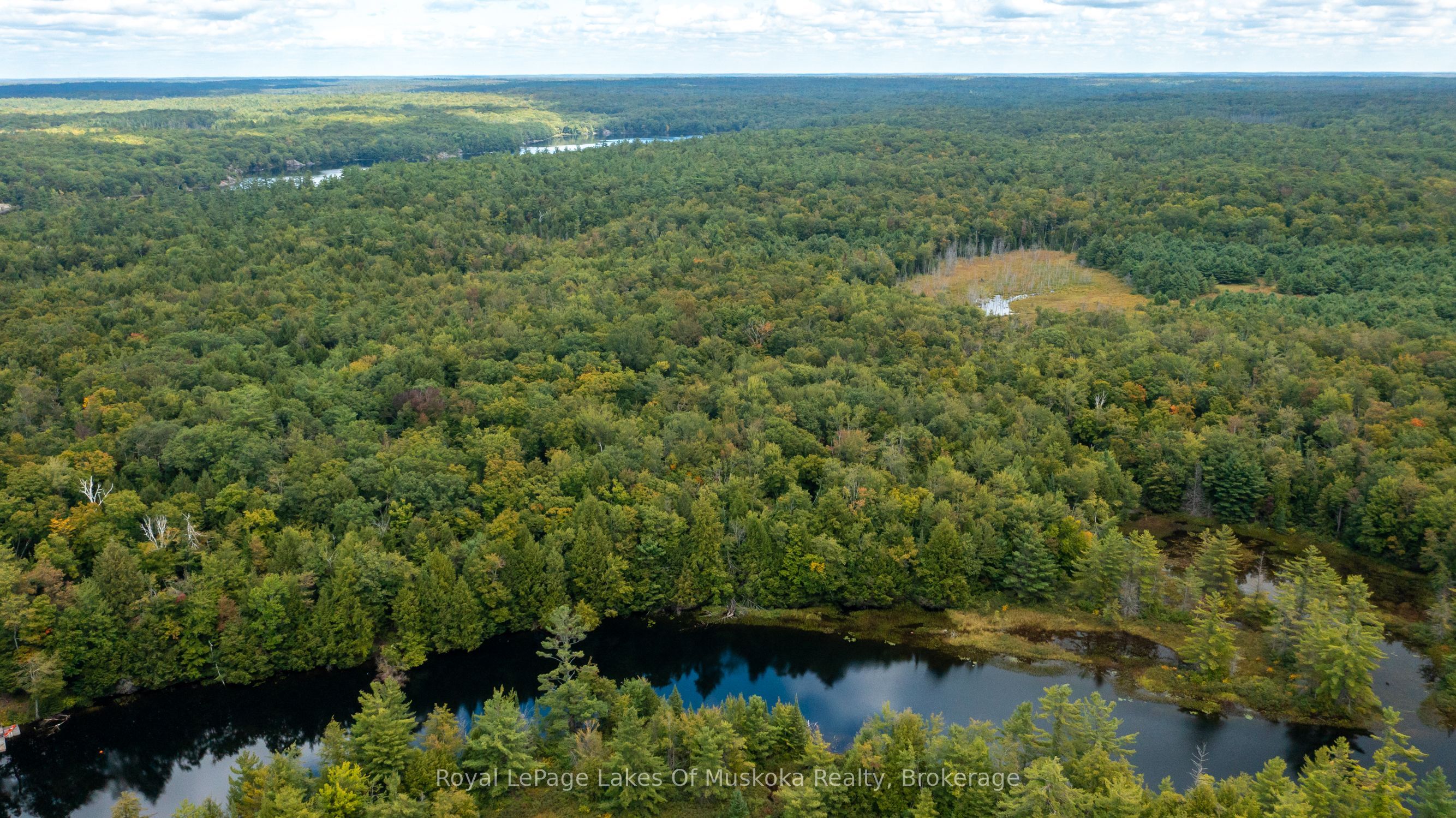 0 Muskoka River, Bracebridge, ON P1L 0K3 photo 4