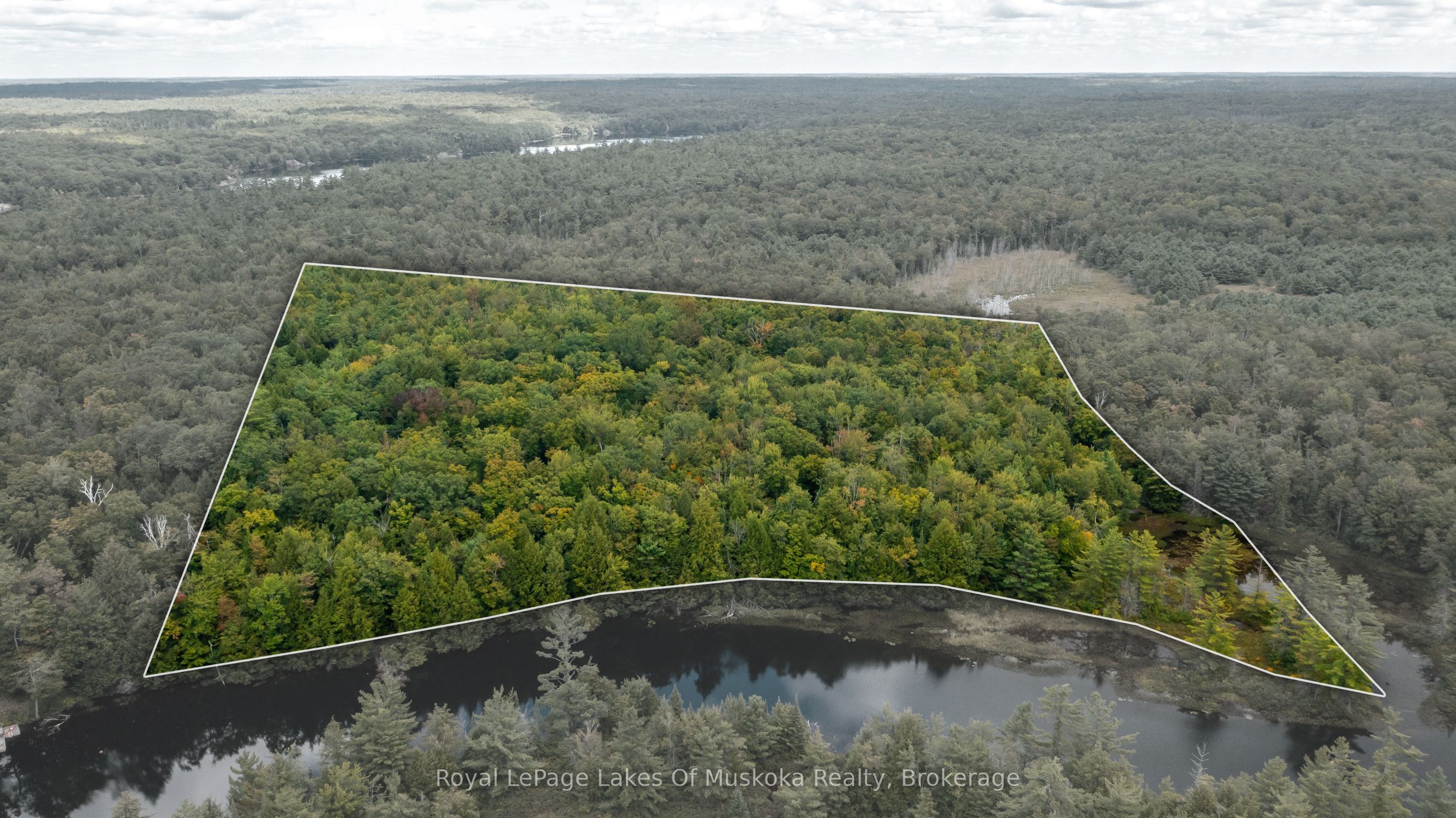 0 Muskoka River, Bracebridge, ON P1L 0K3 photo 5