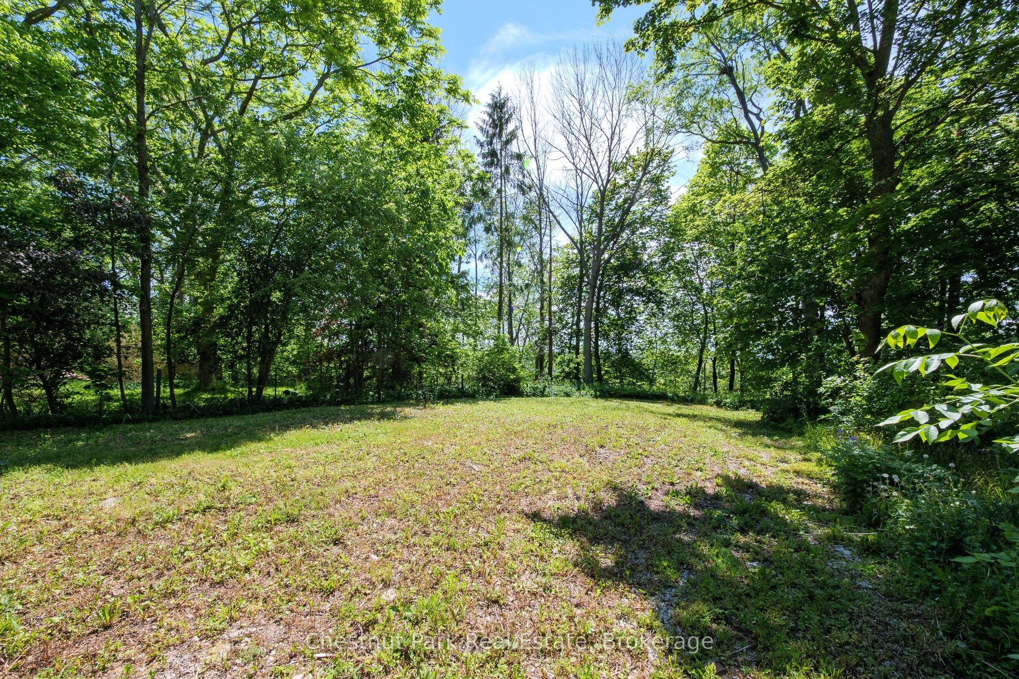 956 6th Avenue E, Owen Sound, ON N4K 2V4 photo 4
