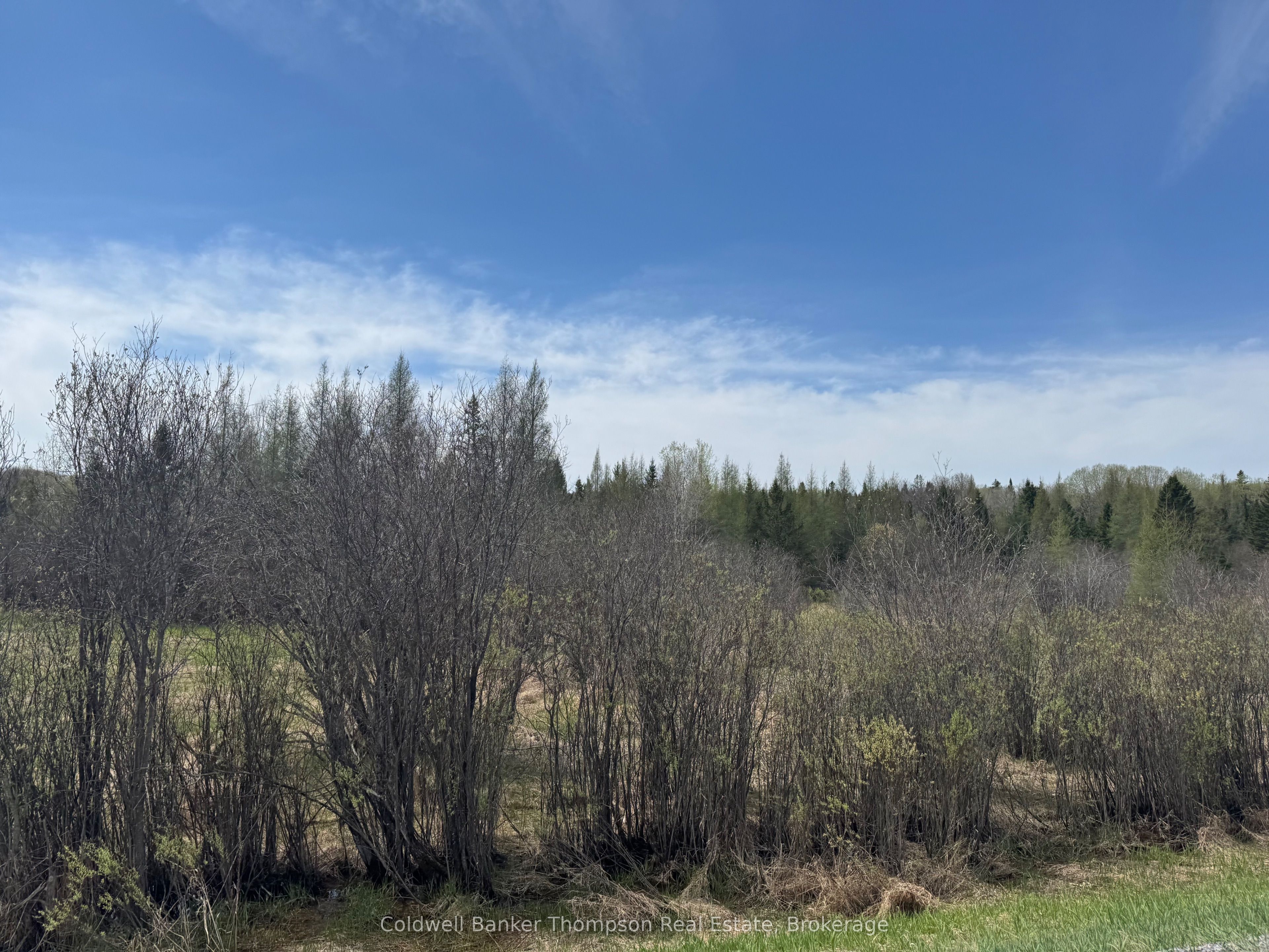 0 Hwy 520 Highway, Ryerson, ON P0A 1C0 photo 4