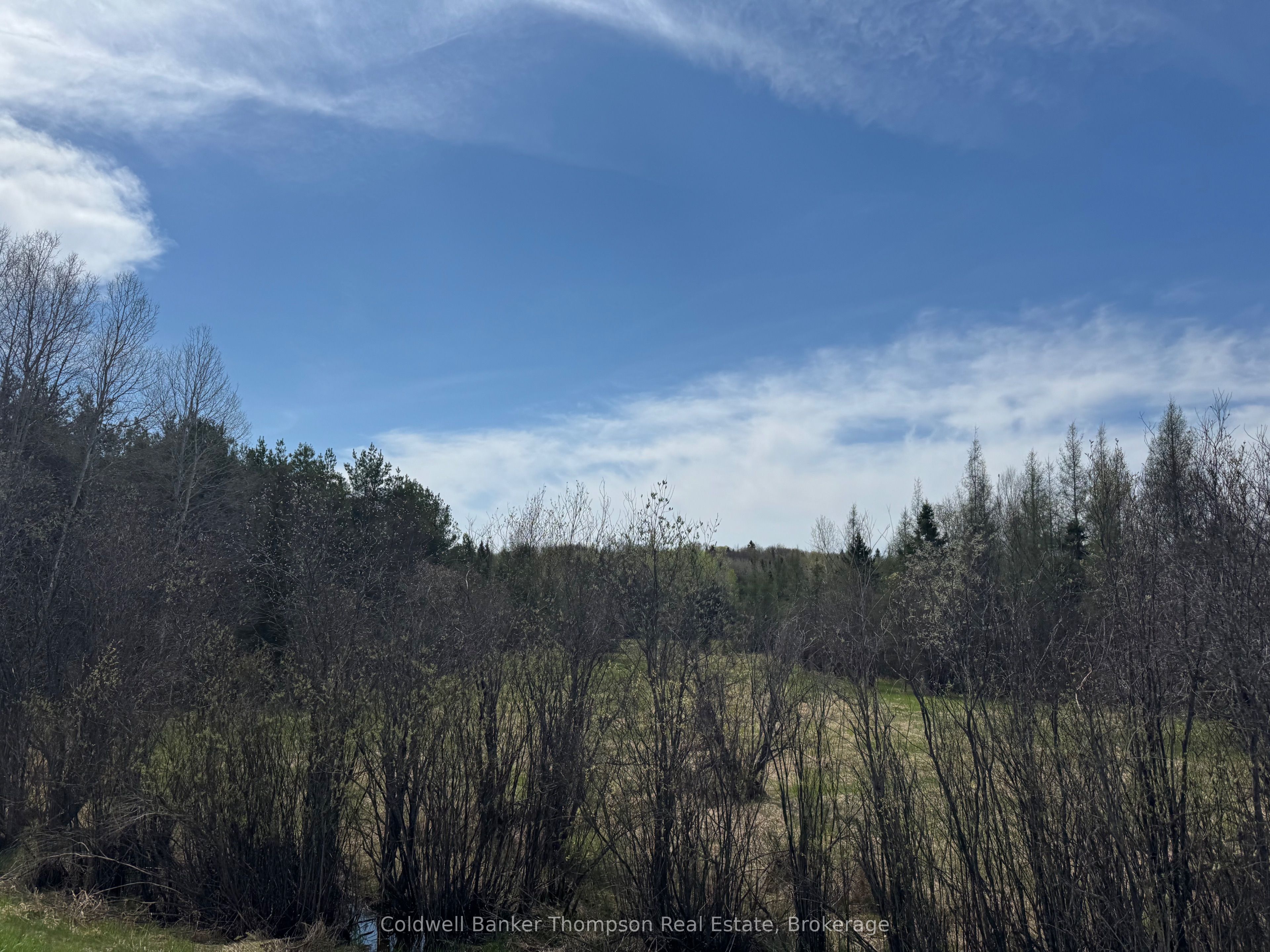 0 Hwy 520 Highway, Ryerson, ON P0A 1C0 photo 5