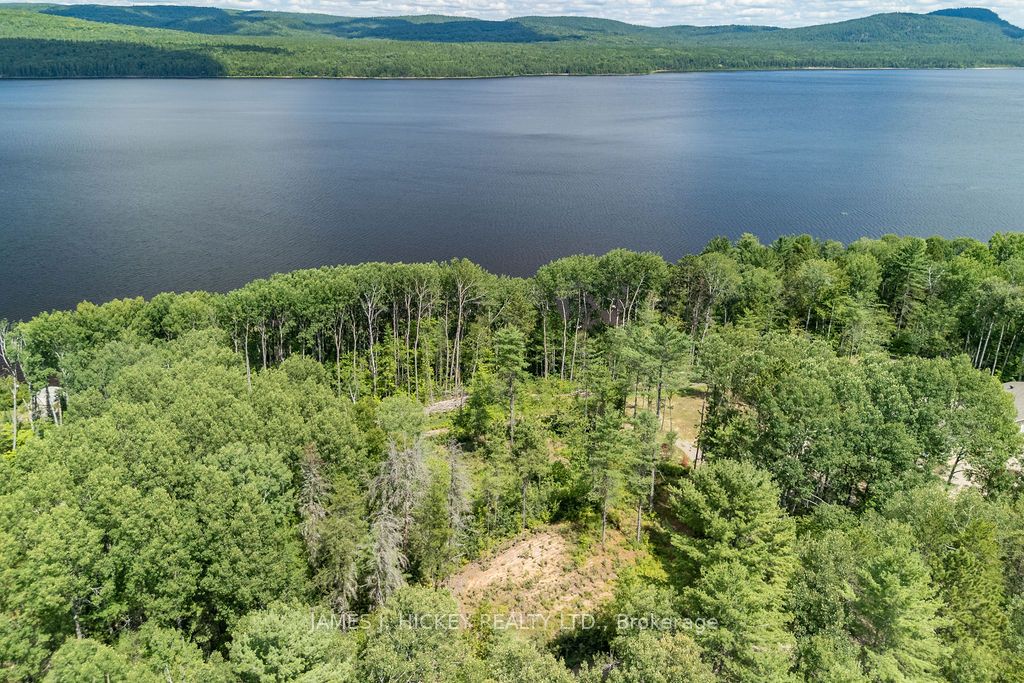00 McAnulty Road, Deep River, ON K0J 1P0 photo 2