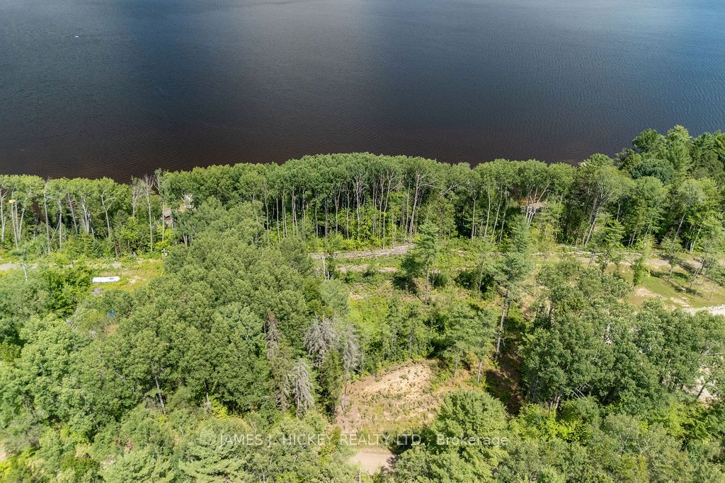 00 McAnulty Road, Deep River, ON K0J 1P0 photo 5