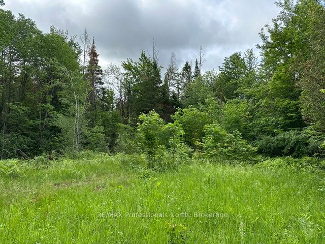 1164 Ravine Road, Minden Hills, ON K0M 2K0
