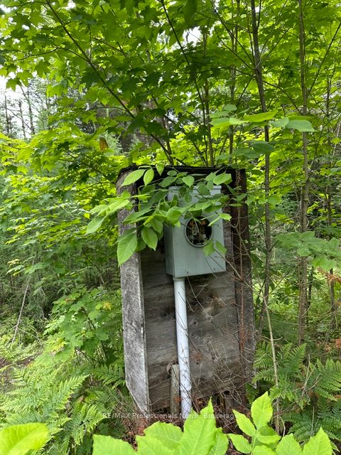 1164 Ravine Road, Minden Hills, ON K0M 2K0 photo 2