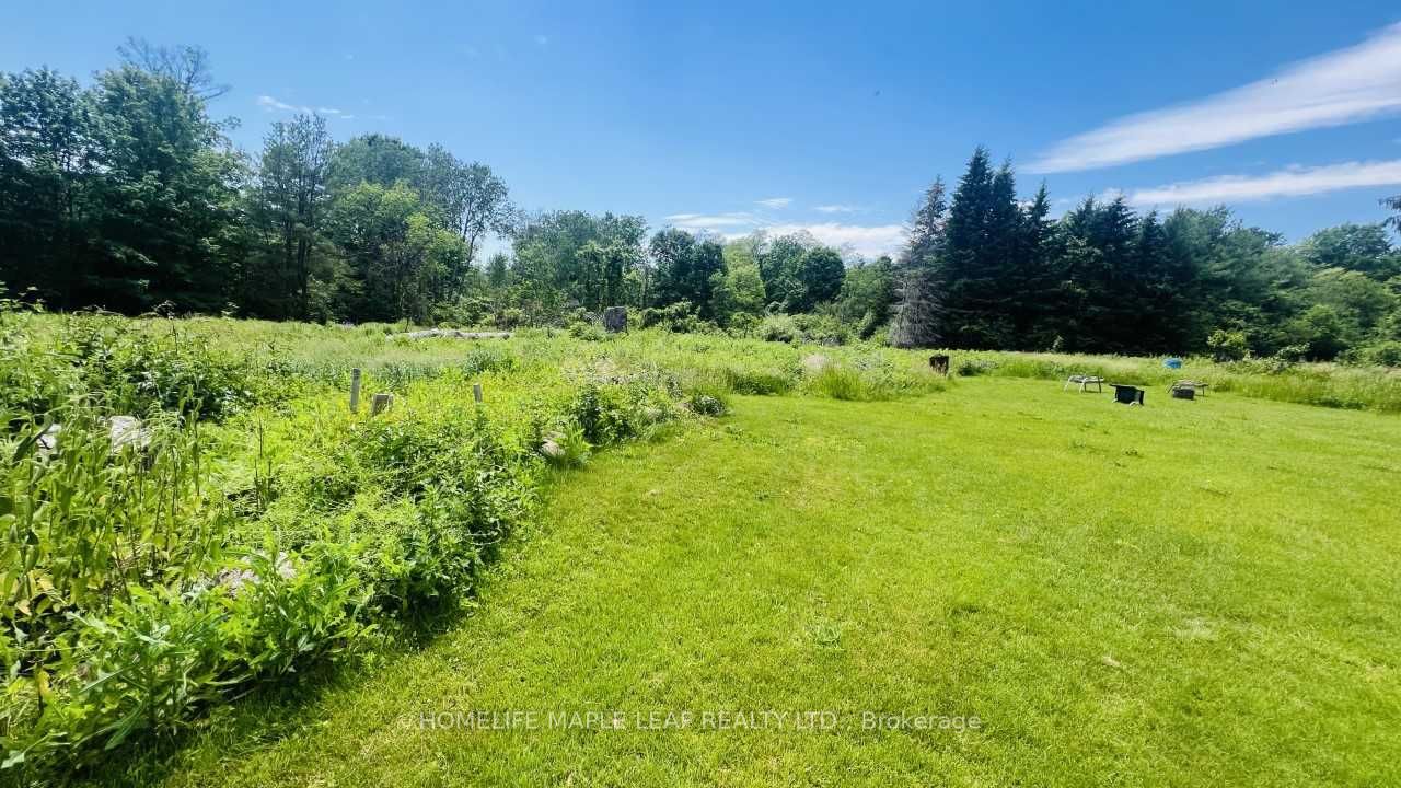 9340 Danforth Road E, Cobourg, ON K9A 4J8 photo 5