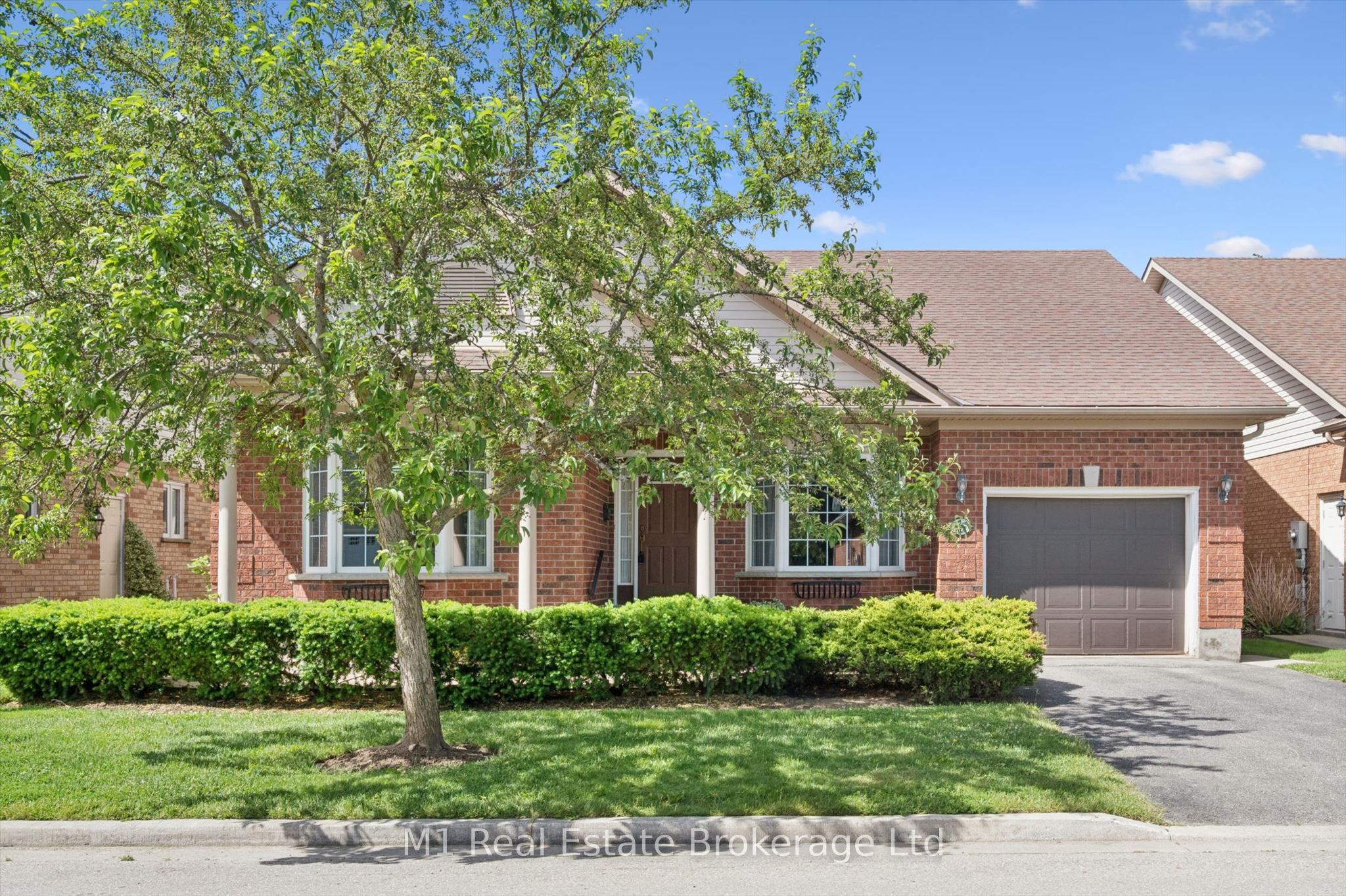 55 Honeysuckle Drive, Guelph, ON N1G 4X7 photo 2