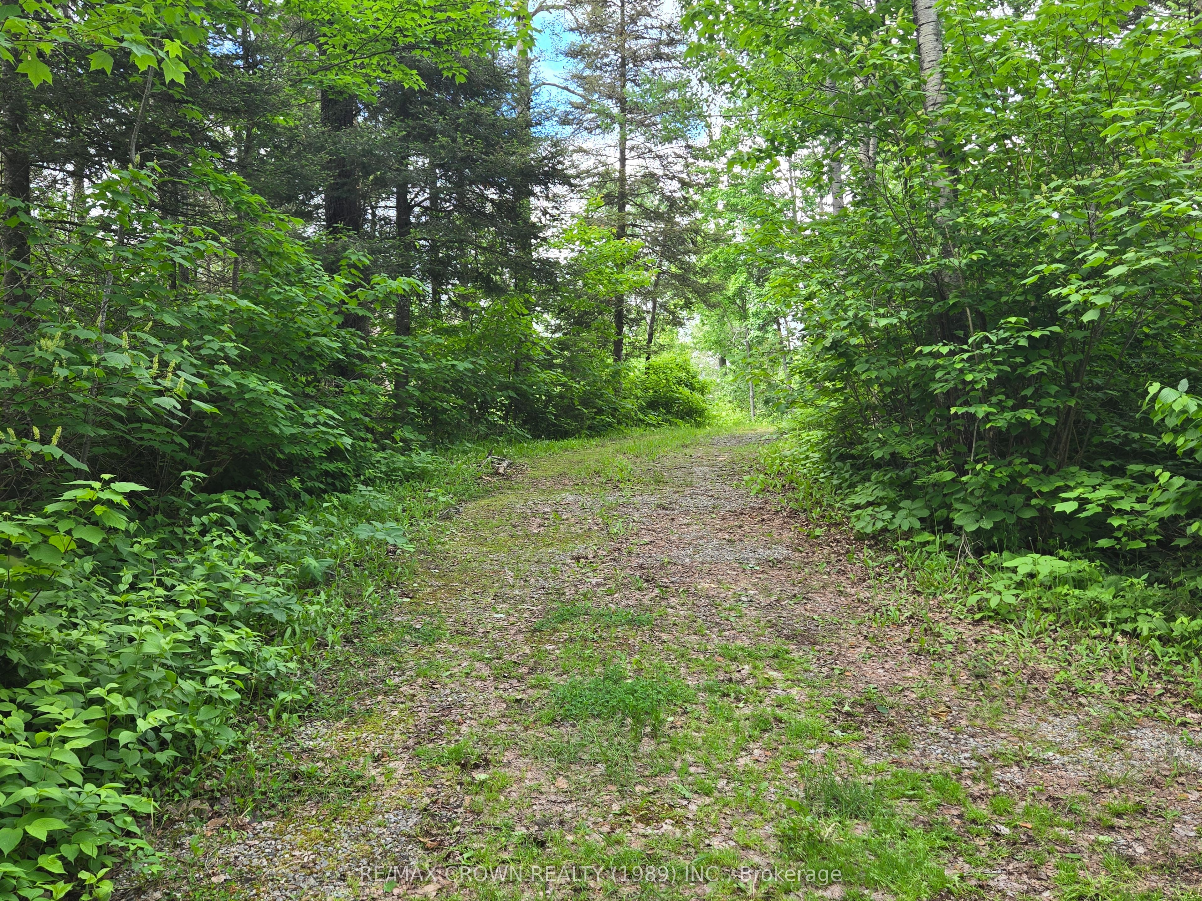 127 White Pine Road, Unorganized Townships, ON P0H 2K0 photo 4