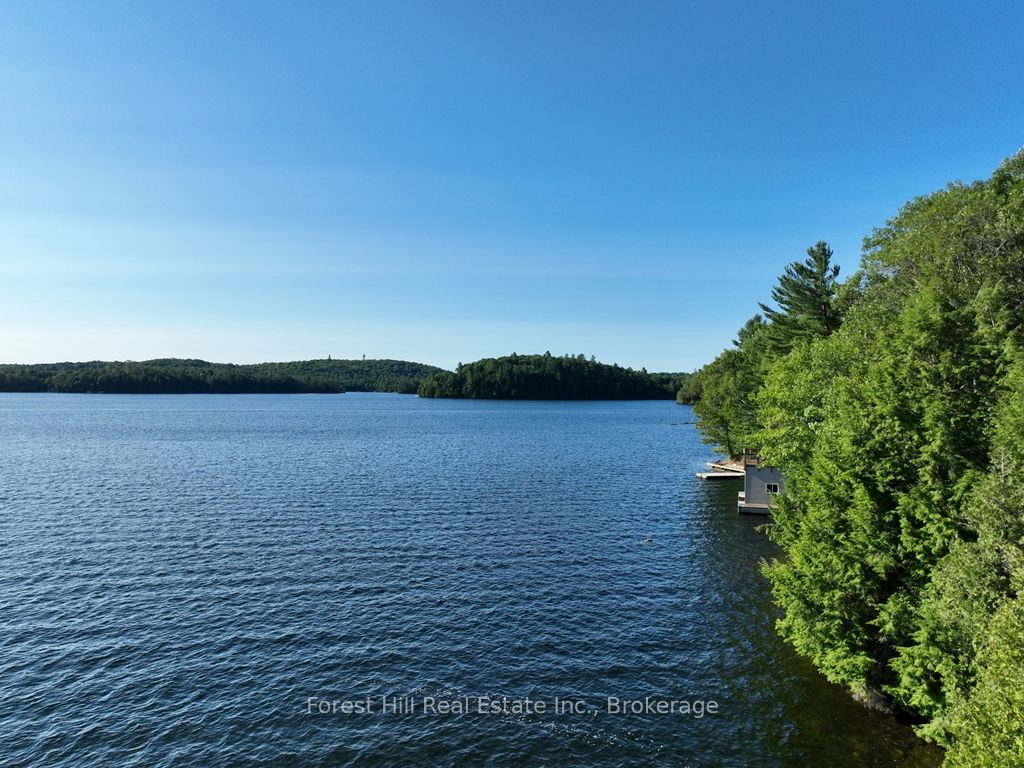 10689 Kawagama Lake WAO N/A, Algonquin Highlands, ON P0A 1E0 photo 5