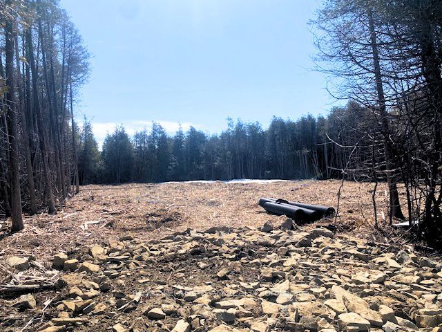 LT 2 ARMSTRONG Road, Merrickville-Wolford, ON K0G 1N0 photo 4
