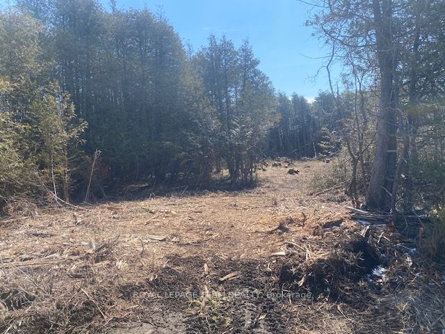 LT 3 ARMSTRONG Road, Merrickville-Wolford, ON K0G 1N0 photo 3