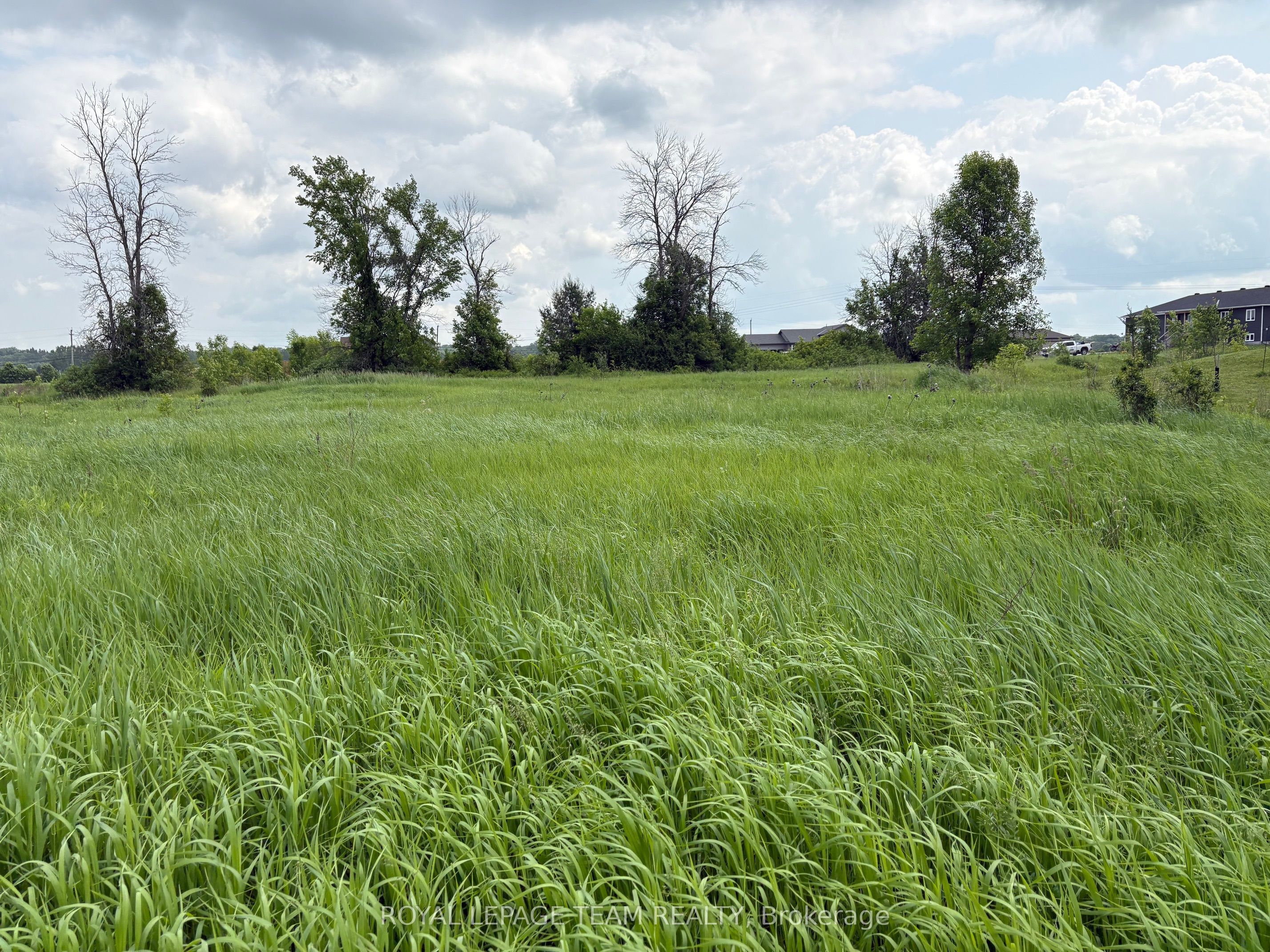 161 Old Pakenham Road, Carp - Dunrobin - Huntley - Fitzroy and Area, ON K0A 1X0 photo 4