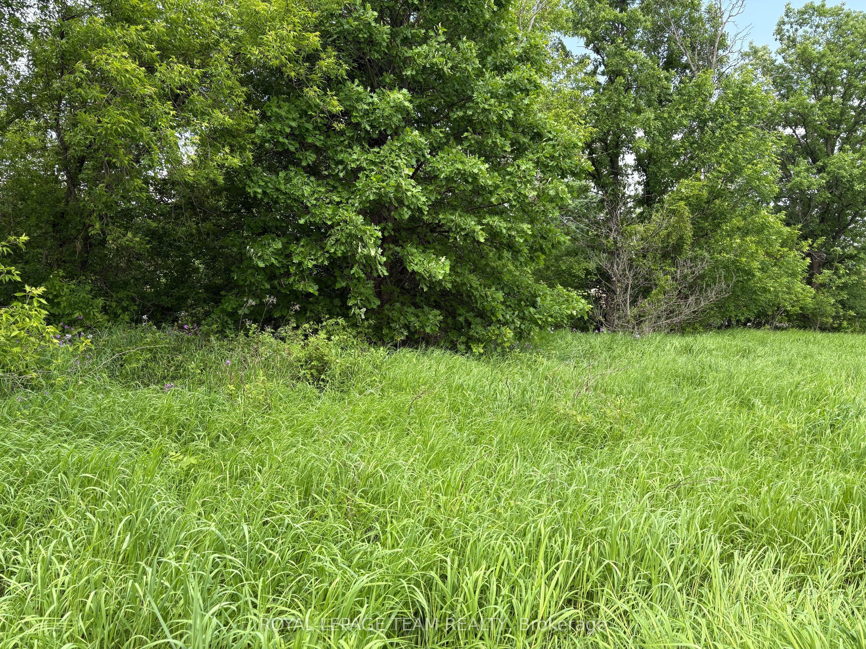 161 Old Pakenham Road, Carp - Dunrobin - Huntley - Fitzroy and Area, ON K0A 1X0 photo 5