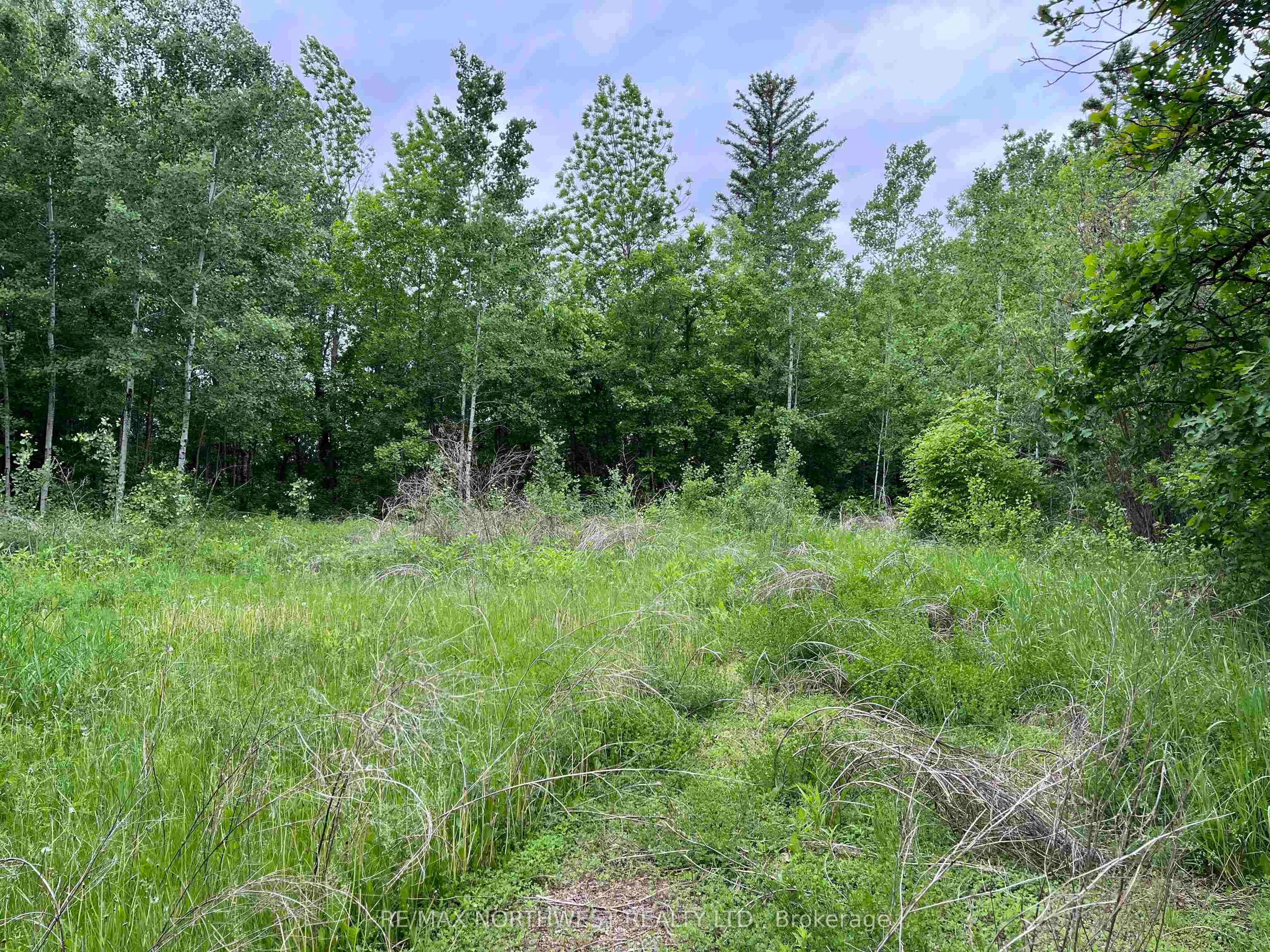 PIN 560490007 HWY 11, Dawson, ON P0W 1K0 photo 2