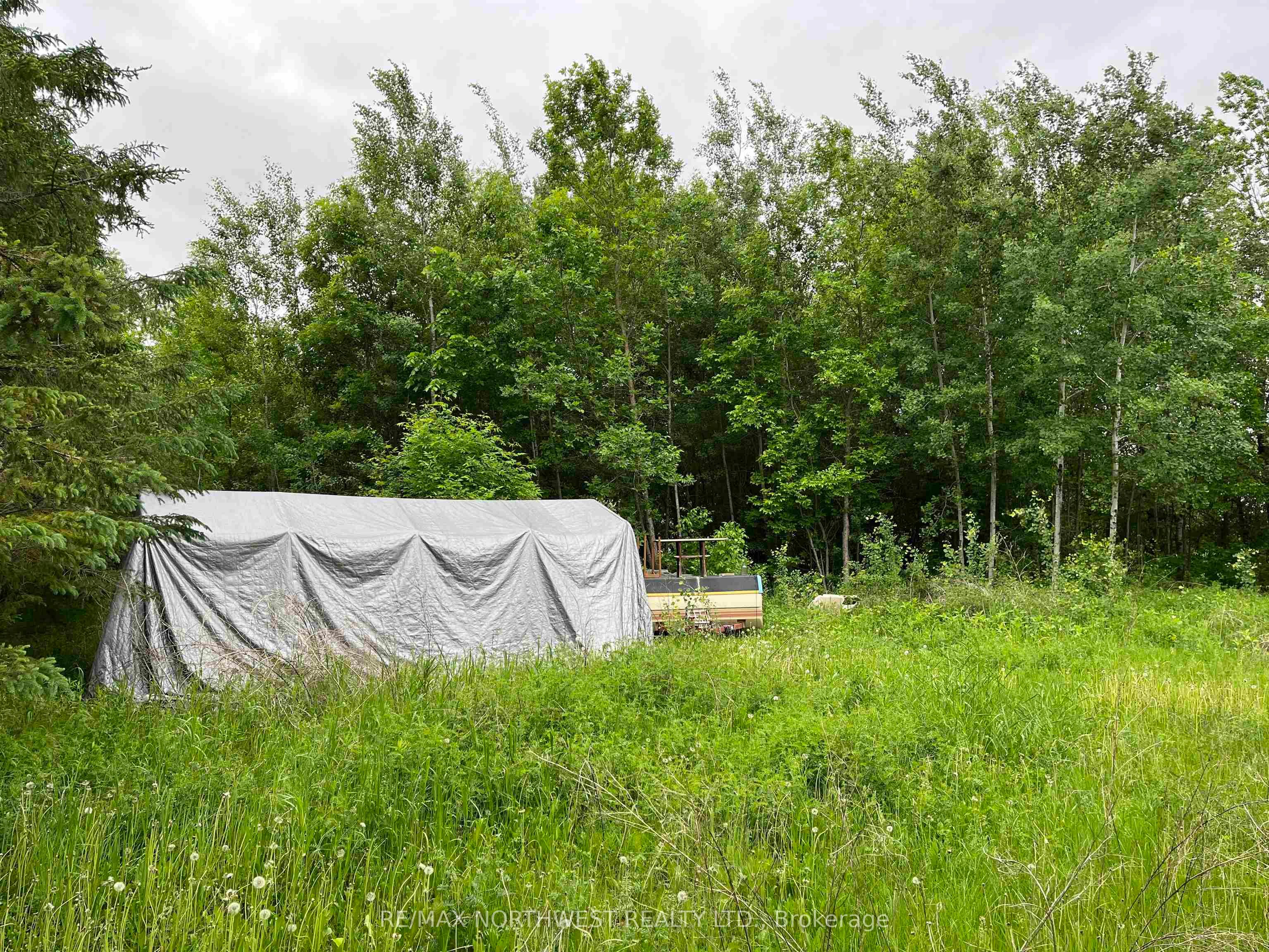 PIN 560490007 HWY 11, Dawson, ON P0W 1K0 photo 3