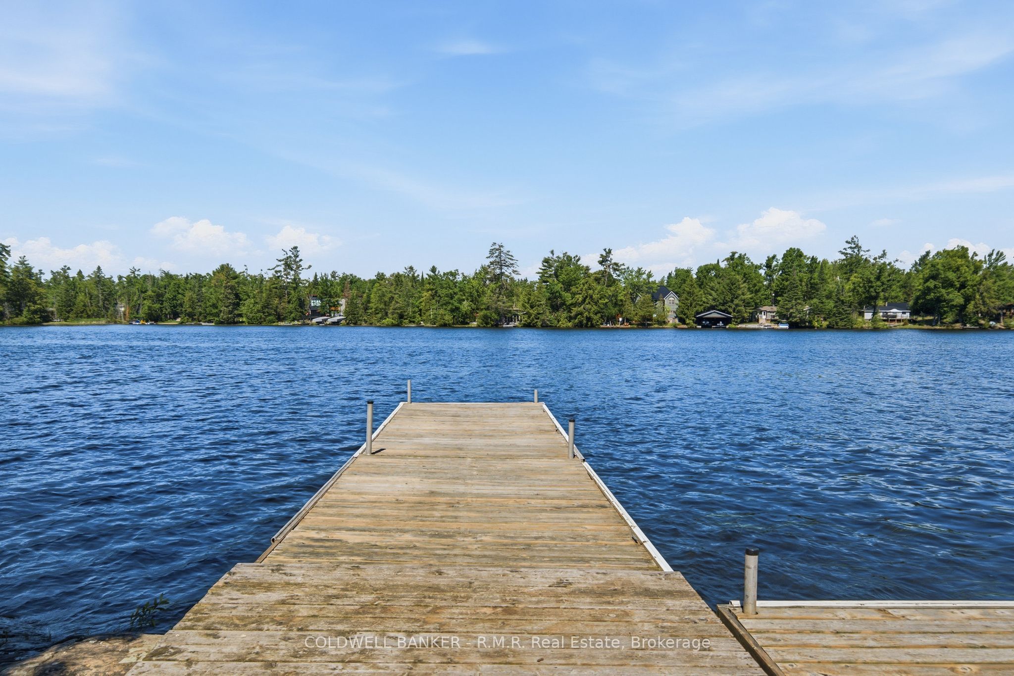 207 Hall Drive, Trent Lakes, ON K0L 1J0 photo 3